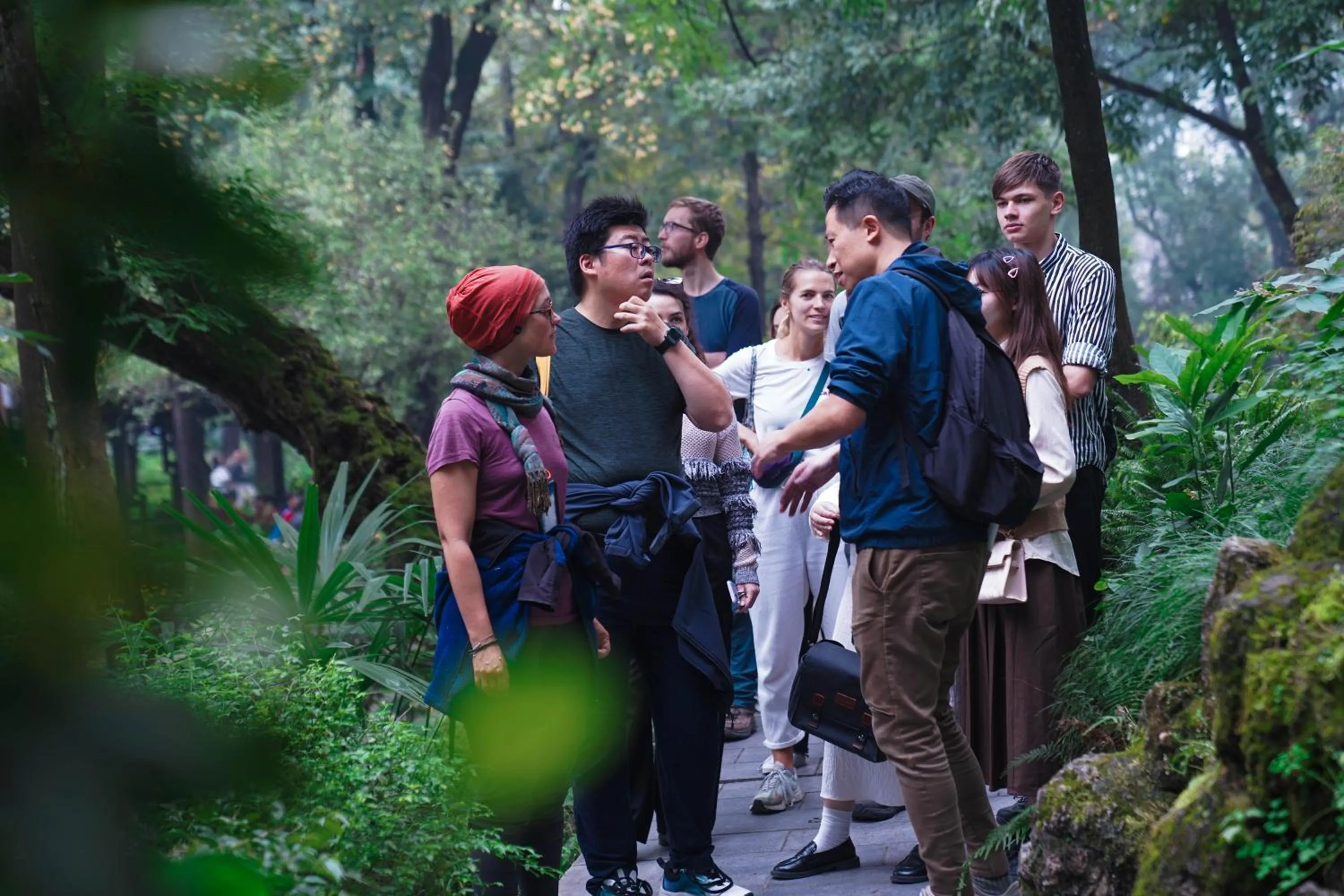 Activities in Chengdu Local Tea Hostel - Short Walk To Taikooli - Chill & Social Coffee Lounge - Metro downstairs - Free Activities - Friendly English Speaking Staff - Tibet, Panda, Buddha & Snow Mountain Tours