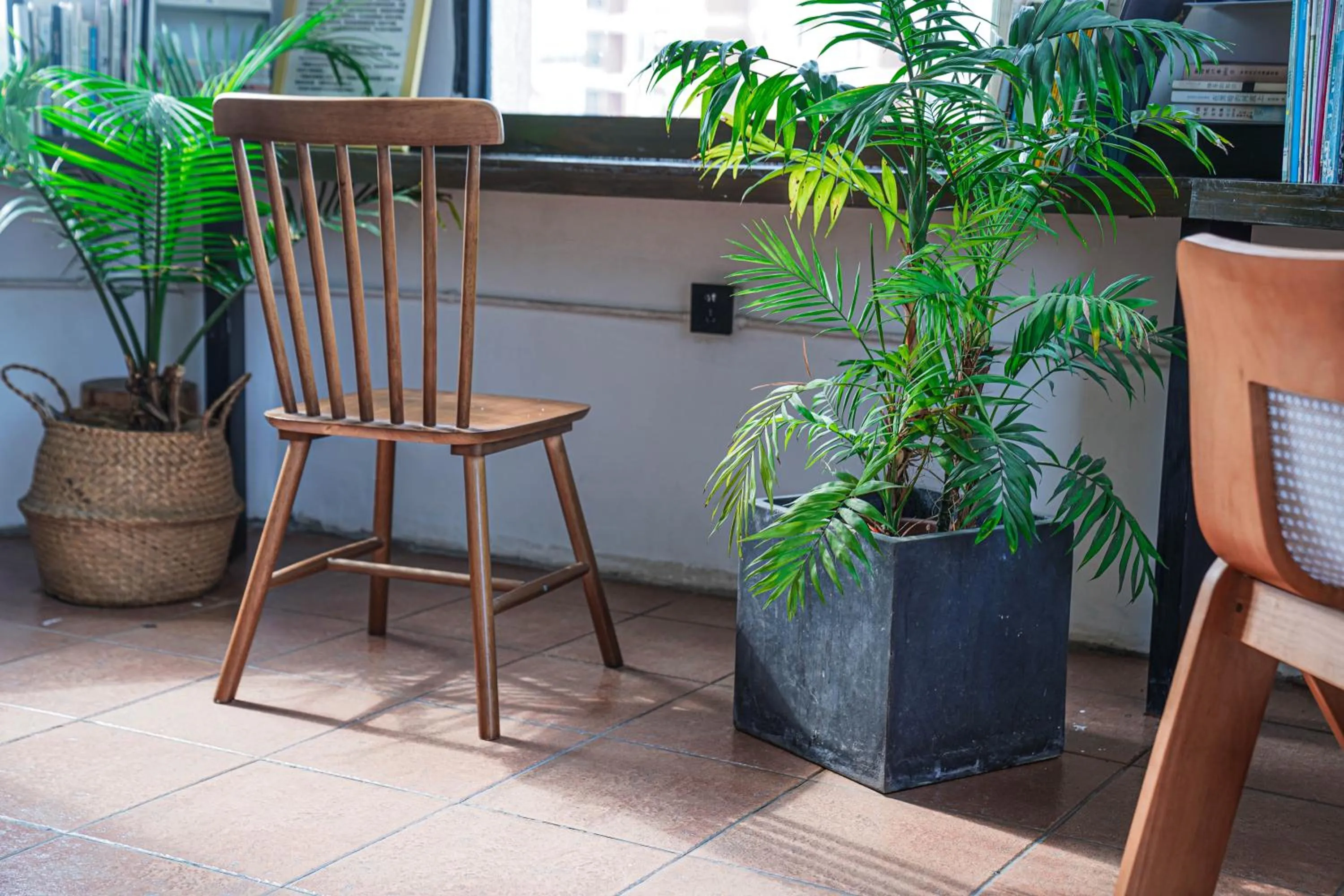 Coffee/tea facilities in Chengdu Local Tea Hostel - Short Walk To Taikooli - Chill & Social Coffee Lounge - Metro downstairs - Free Activities - Friendly English Speaking Staff - Tibet, Panda, Buddha & Snow Mountain Tours