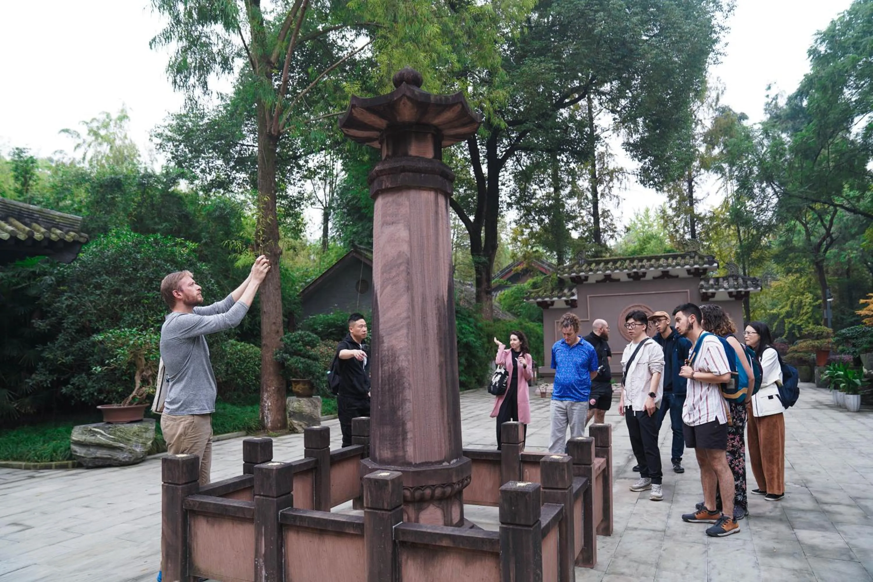 Activities in Chengdu Local Tea Hostel - Short Walk To Taikooli - Chill & Social Coffee Lounge - Metro downstairs - Free Activities - Friendly English Speaking Staff - Tibet, Panda, Buddha & Snow Mountain Tours