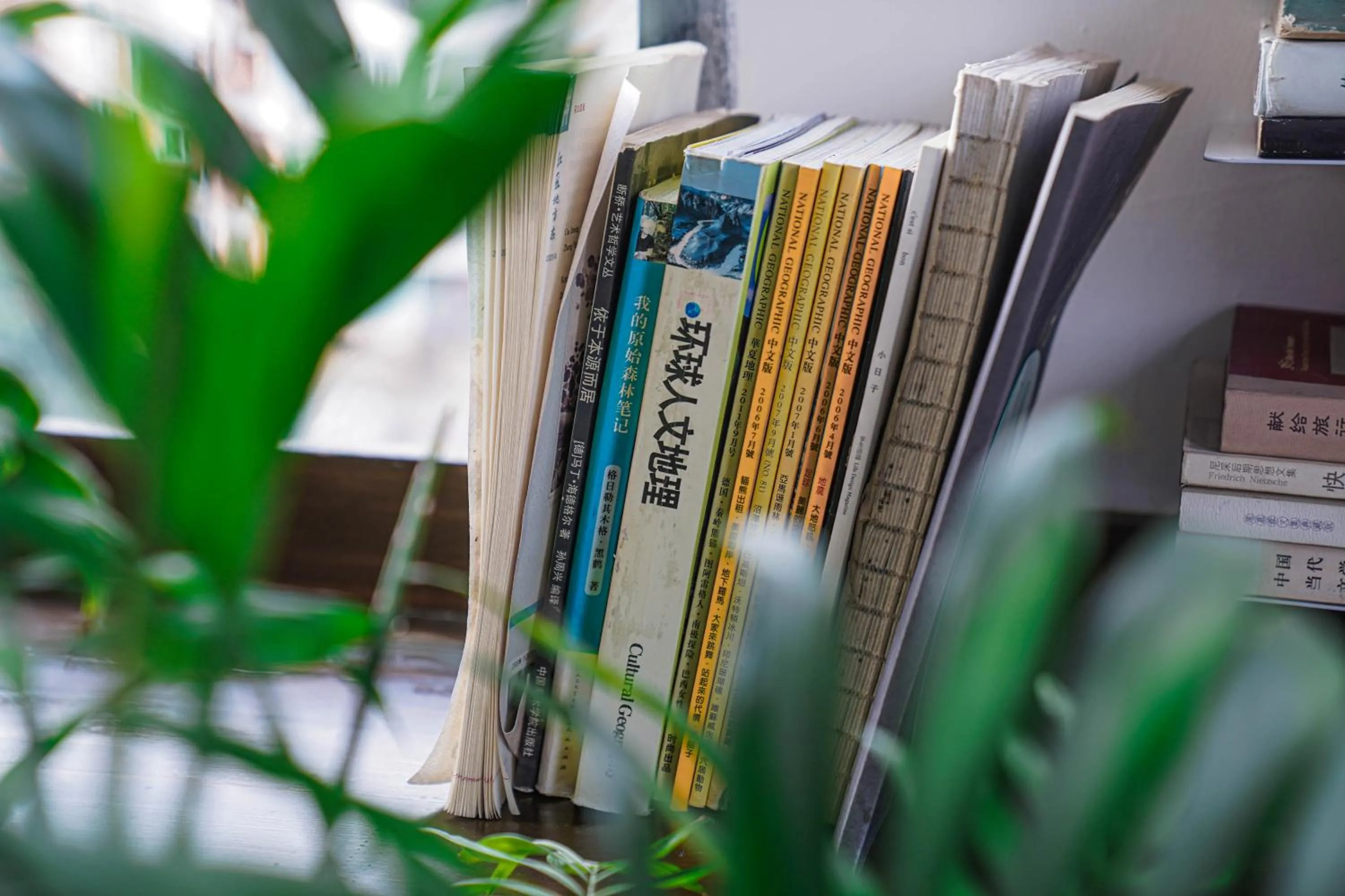 Lounge or bar in Chengdu Local Tea Hostel - Short Walk To Taikooli - Chill & Social Coffee Lounge - Metro downstairs - Free Activities - Friendly English Speaking Staff - Tibet, Panda, Buddha & Snow Mountain Tours