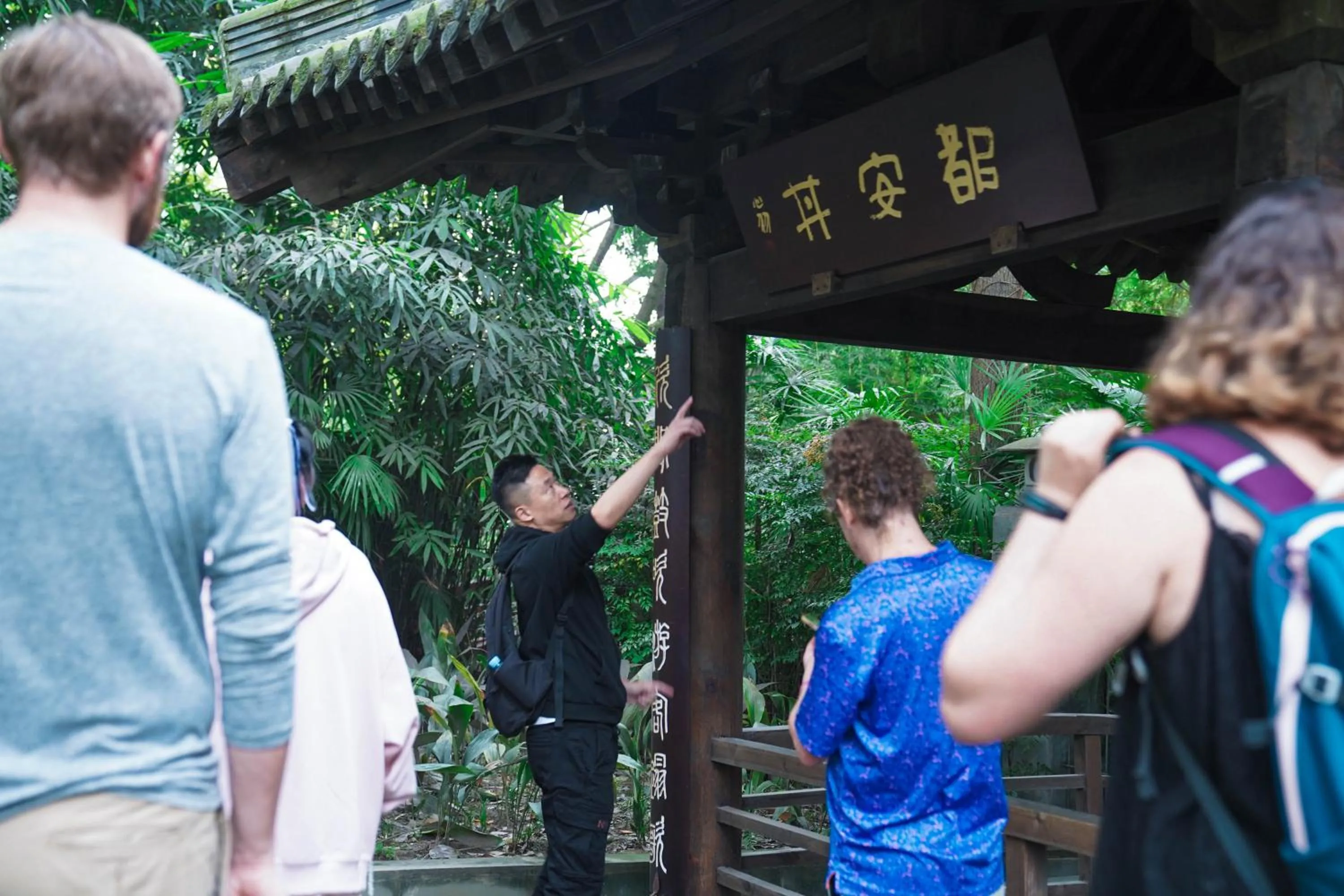 Activities in Chengdu Local Tea Hostel - Short Walk To Taikooli - Chill & Social Coffee Lounge - Metro downstairs - Free Activities - Friendly English Speaking Staff - Tibet, Panda, Buddha & Snow Mountain Tours