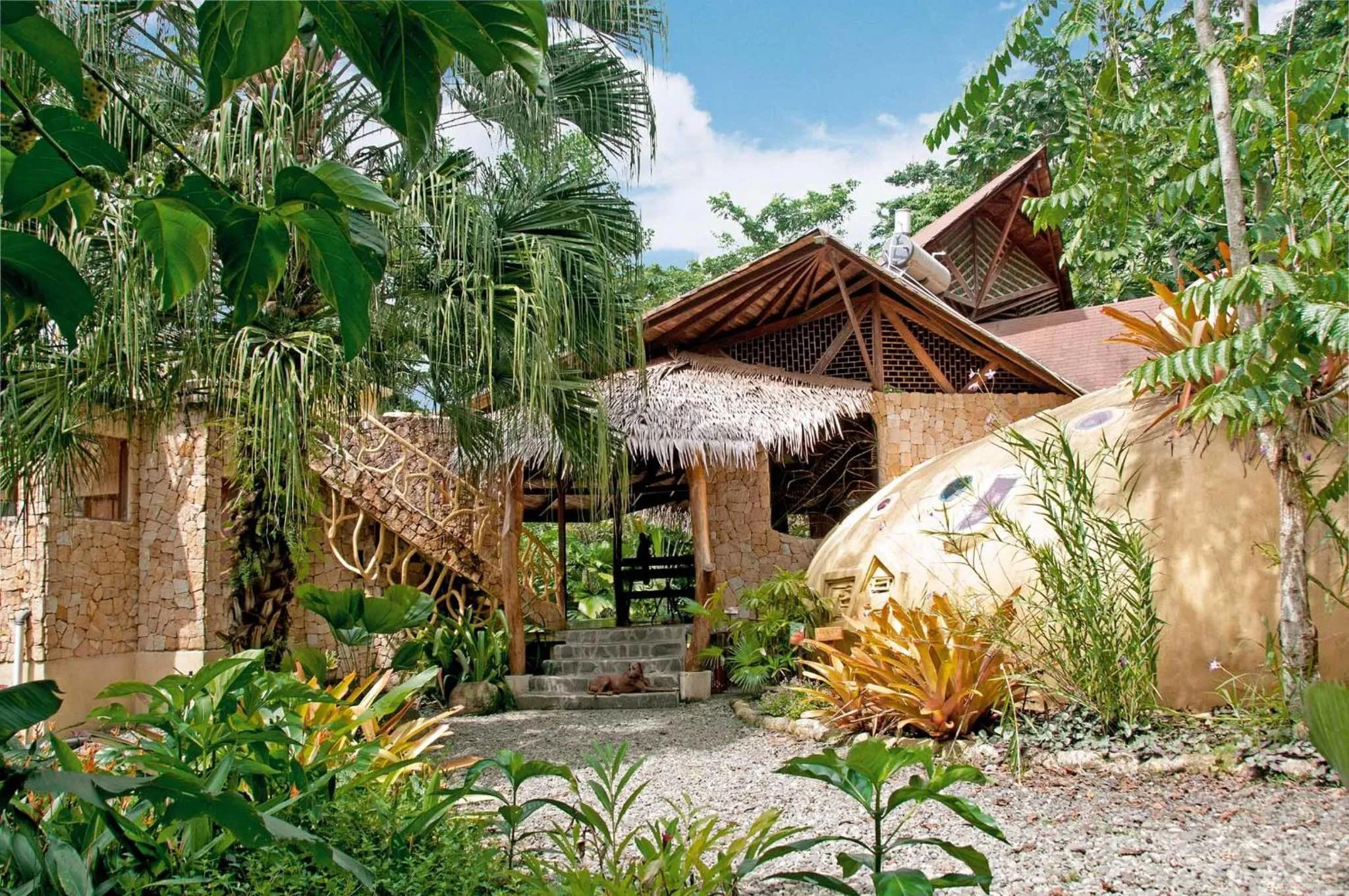 Photo of the whole room in Tree House Beachfront Lodge