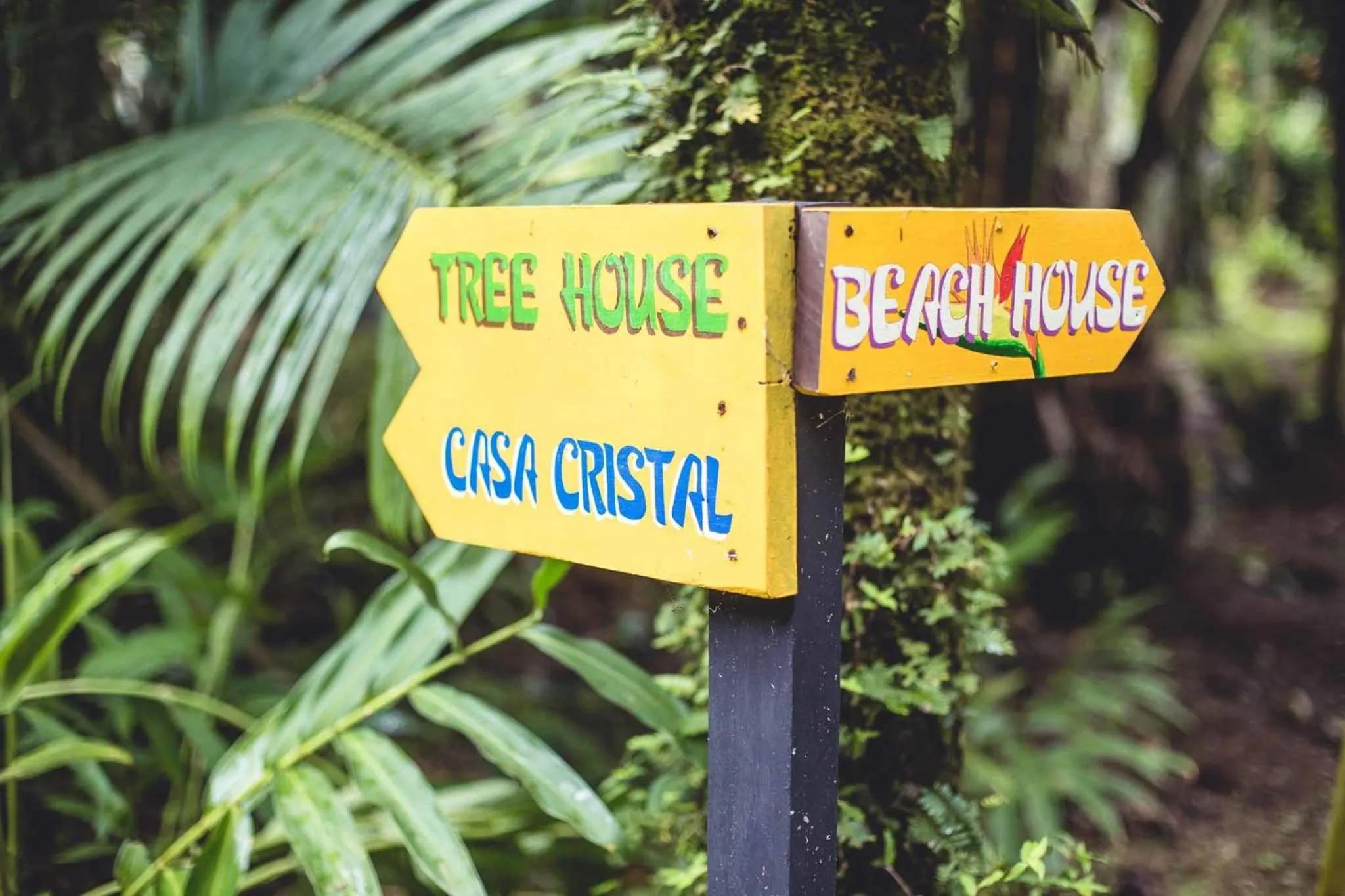 Property logo or sign in Tree House Beachfront Lodge
