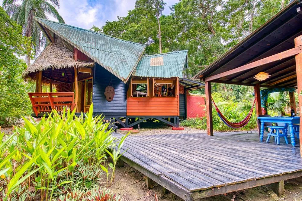 View (from property/room) in Tree House Beachfront Lodge