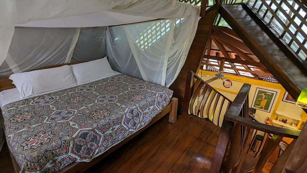 Bed in Tree House Beachfront Lodge