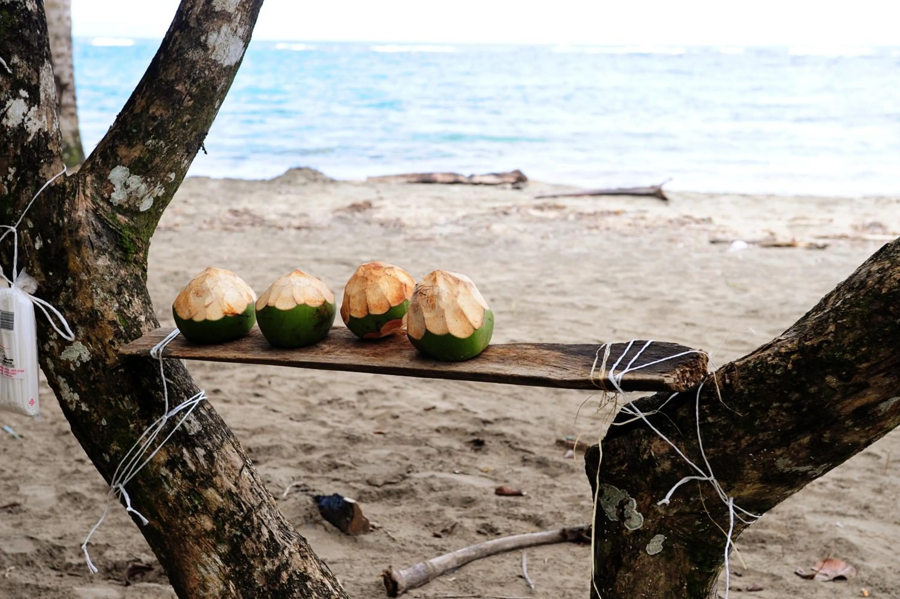 Beach in Tree House Beachfront Lodge