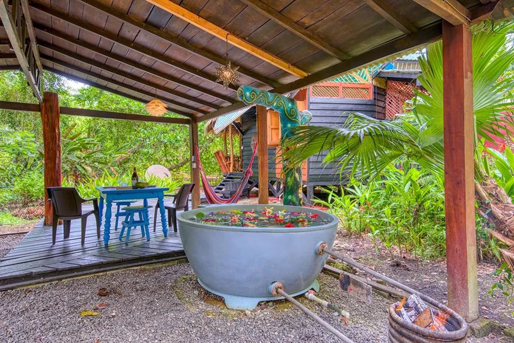 Patio in Tree House Beachfront Lodge