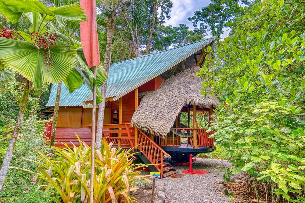 View (from property/room) in Tree House Beachfront Lodge
