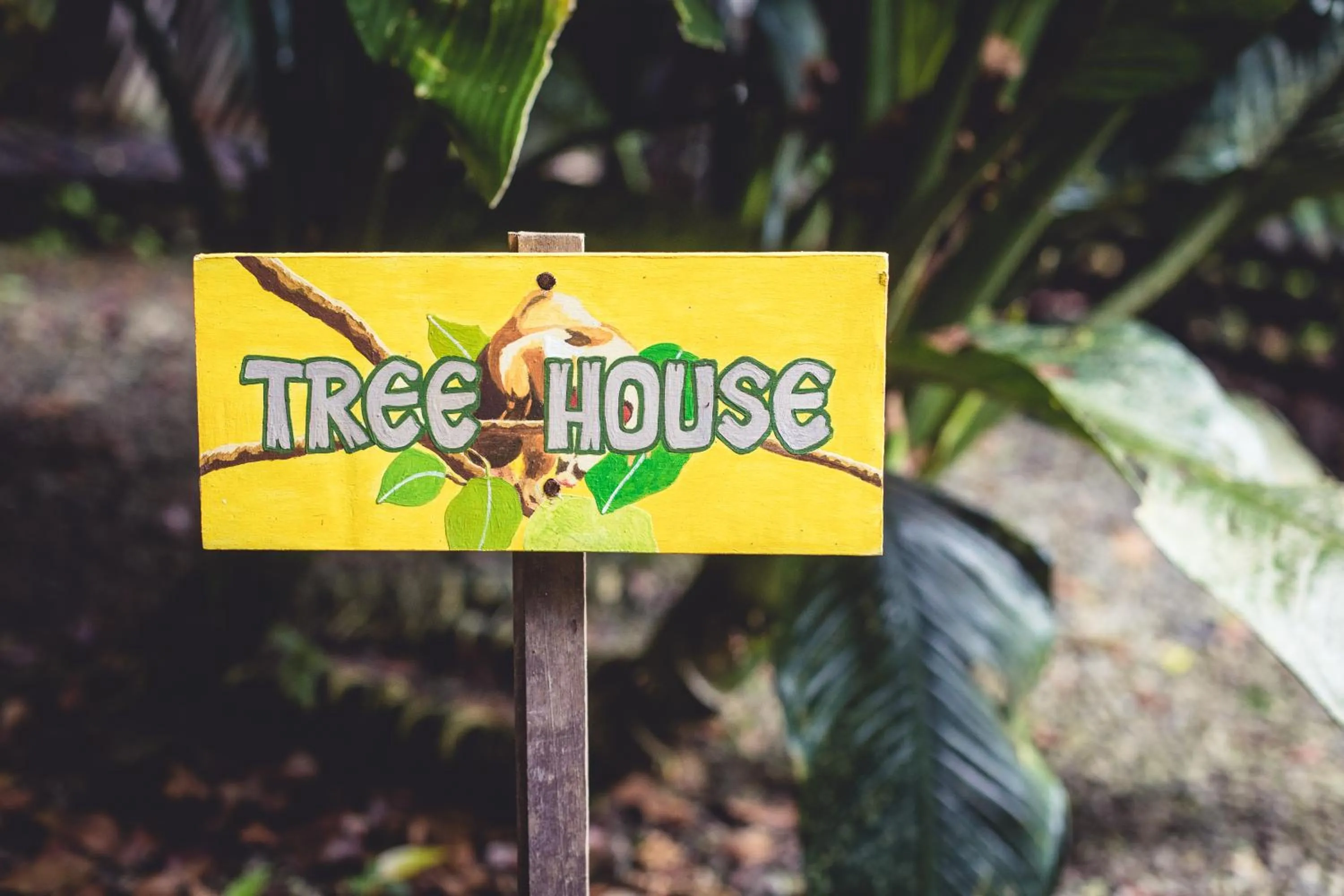 Property logo or sign in Tree House Beachfront Lodge