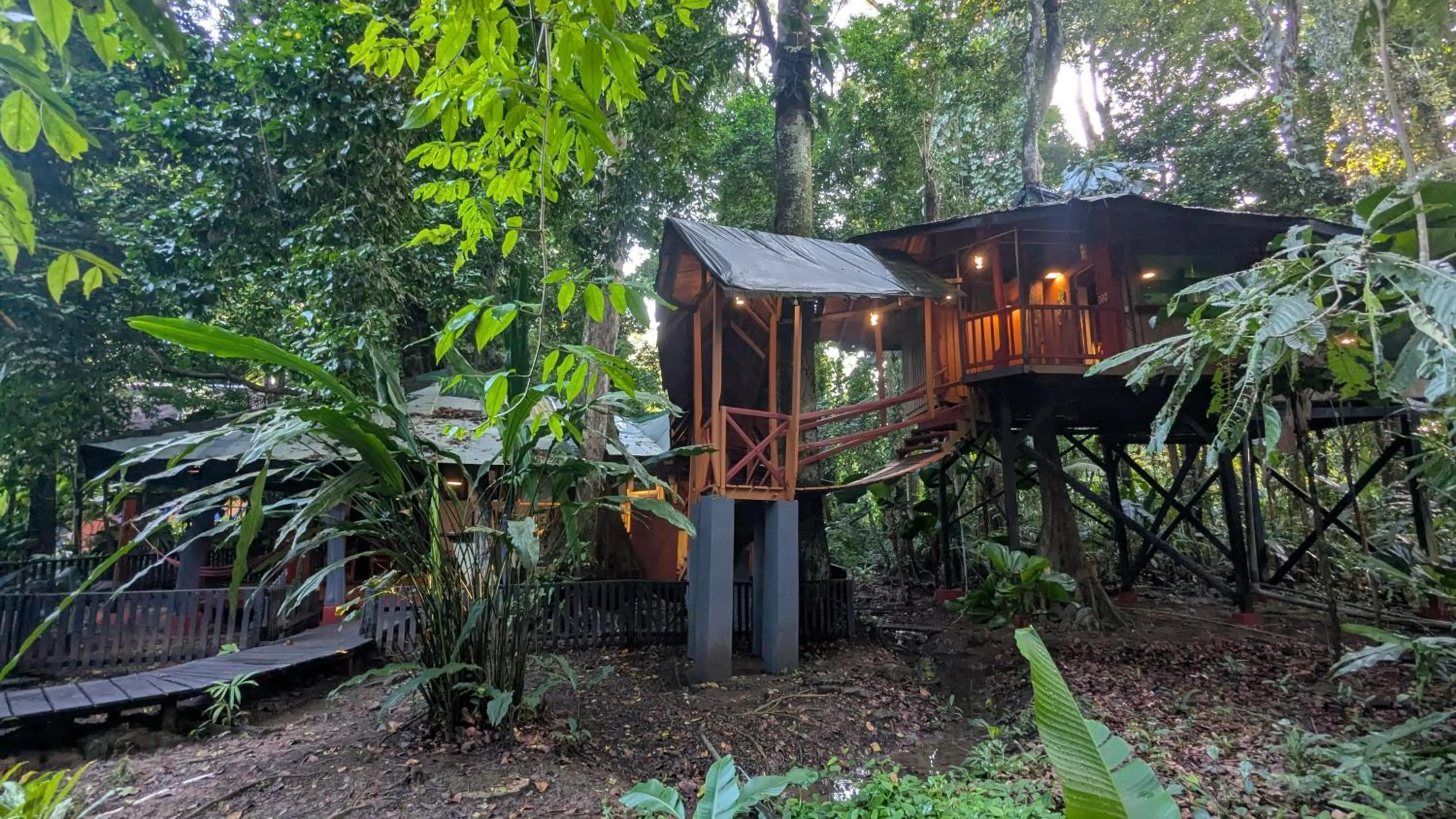 Garden in Tree House Beachfront Lodge