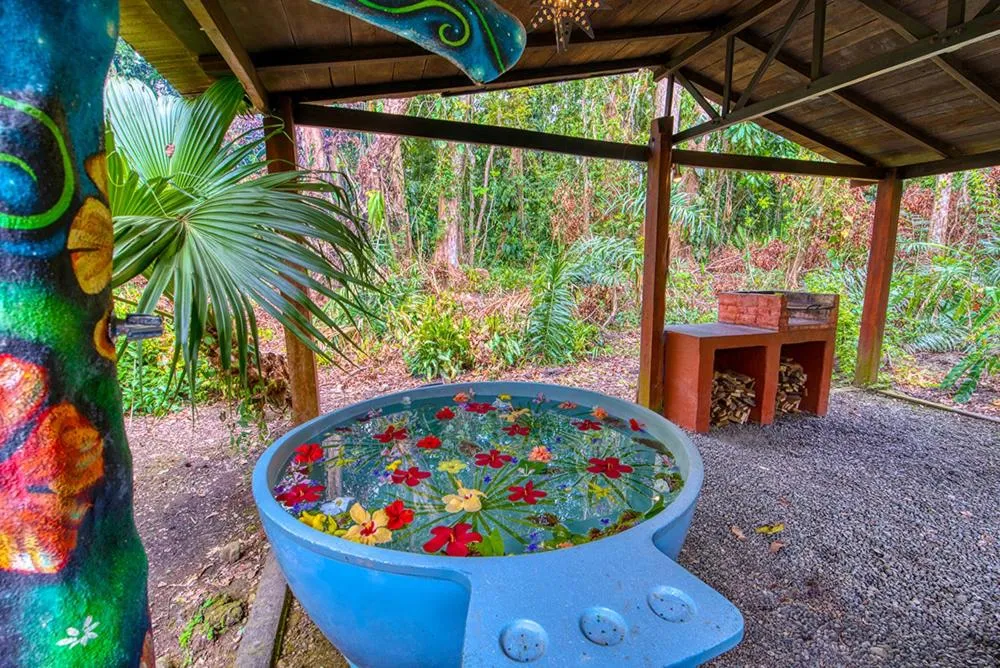 Patio in Tree House Beachfront Lodge