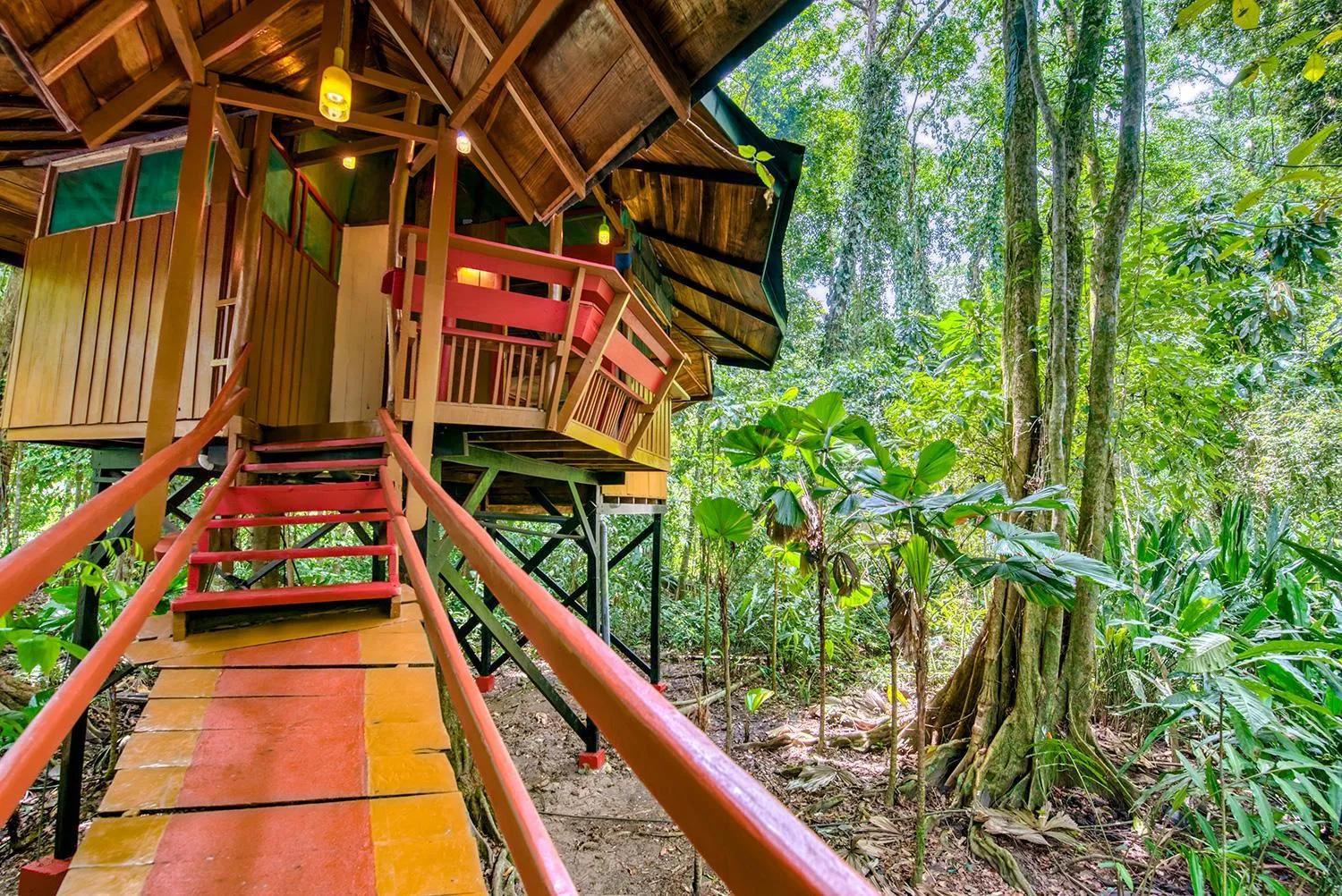 Property building in Tree House Beachfront Lodge