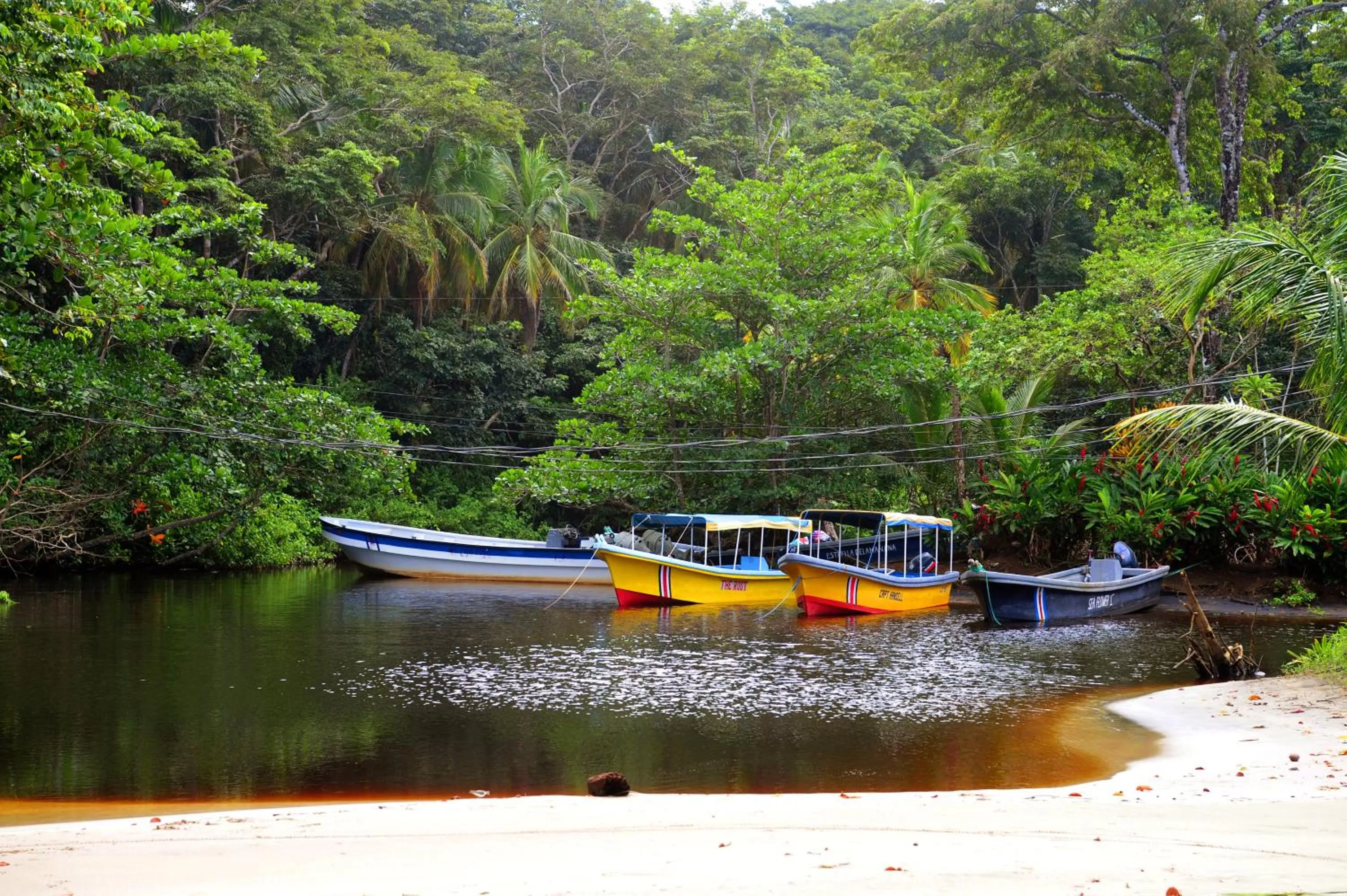 Aqua park in Tree House Beachfront Lodge