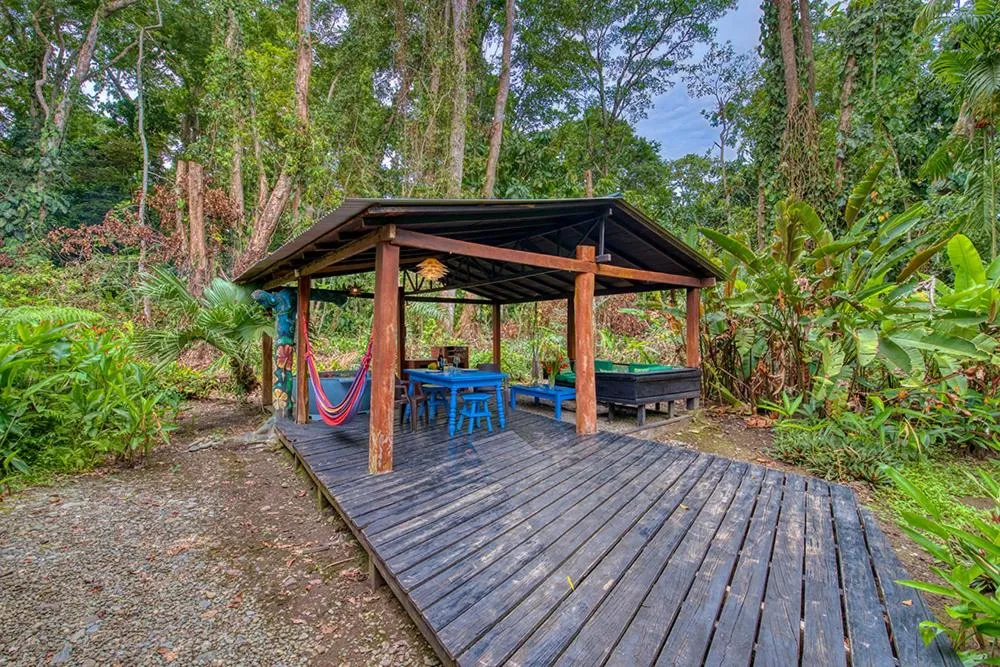 Patio in Tree House Beachfront Lodge