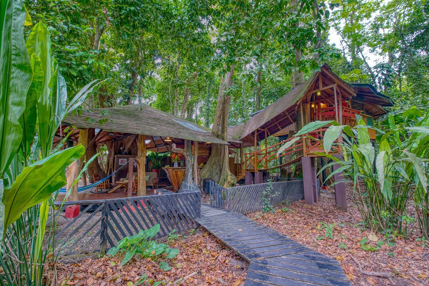 View (from property/room) in Tree House Beachfront Lodge