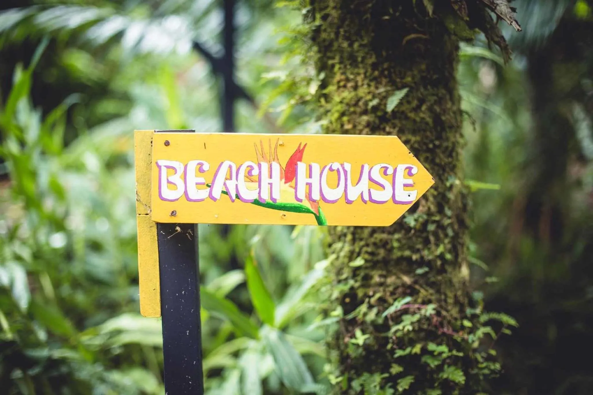 Property logo or sign in Tree House Beachfront Lodge