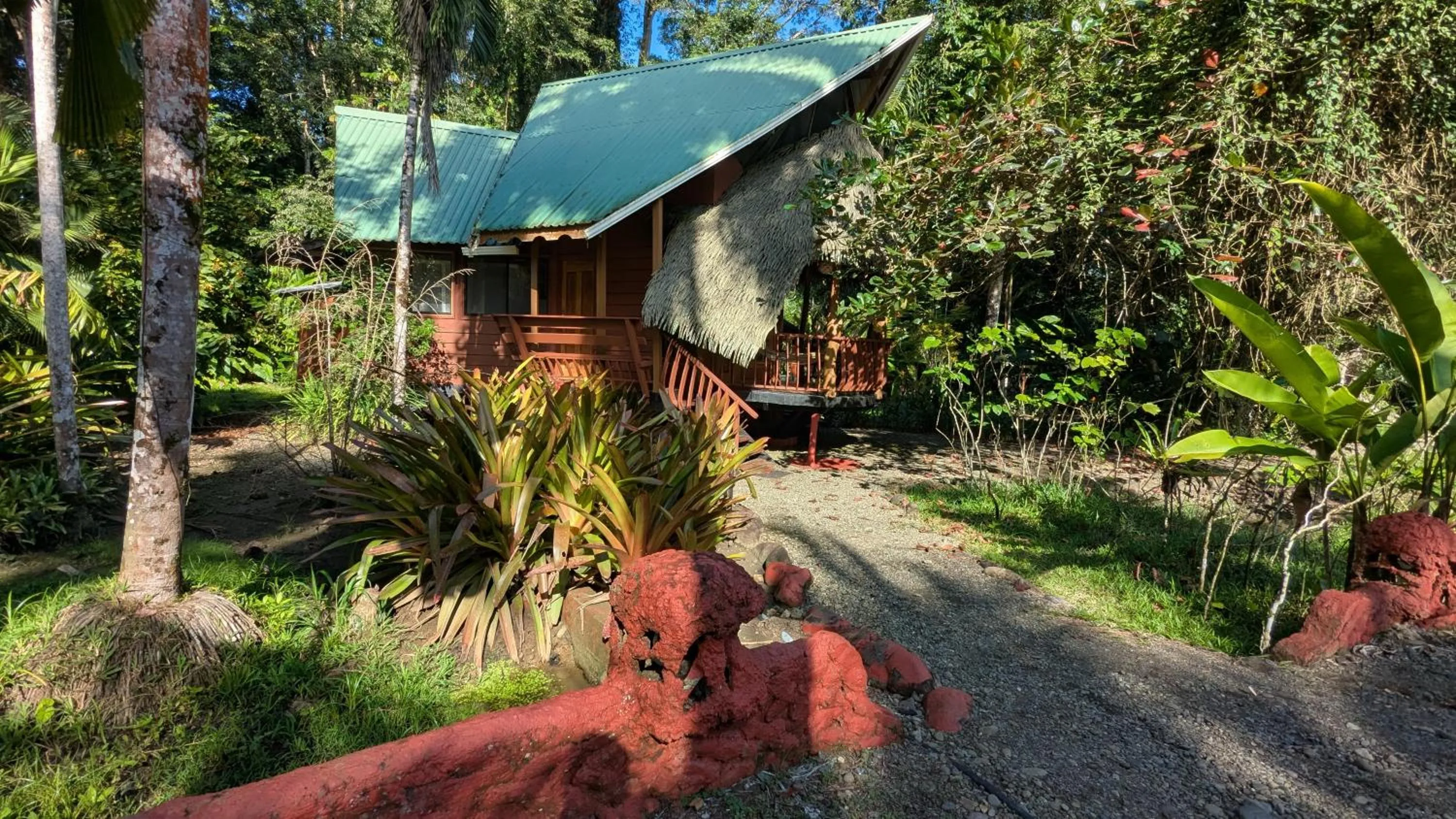 Garden view in Tree House Beachfront Lodge