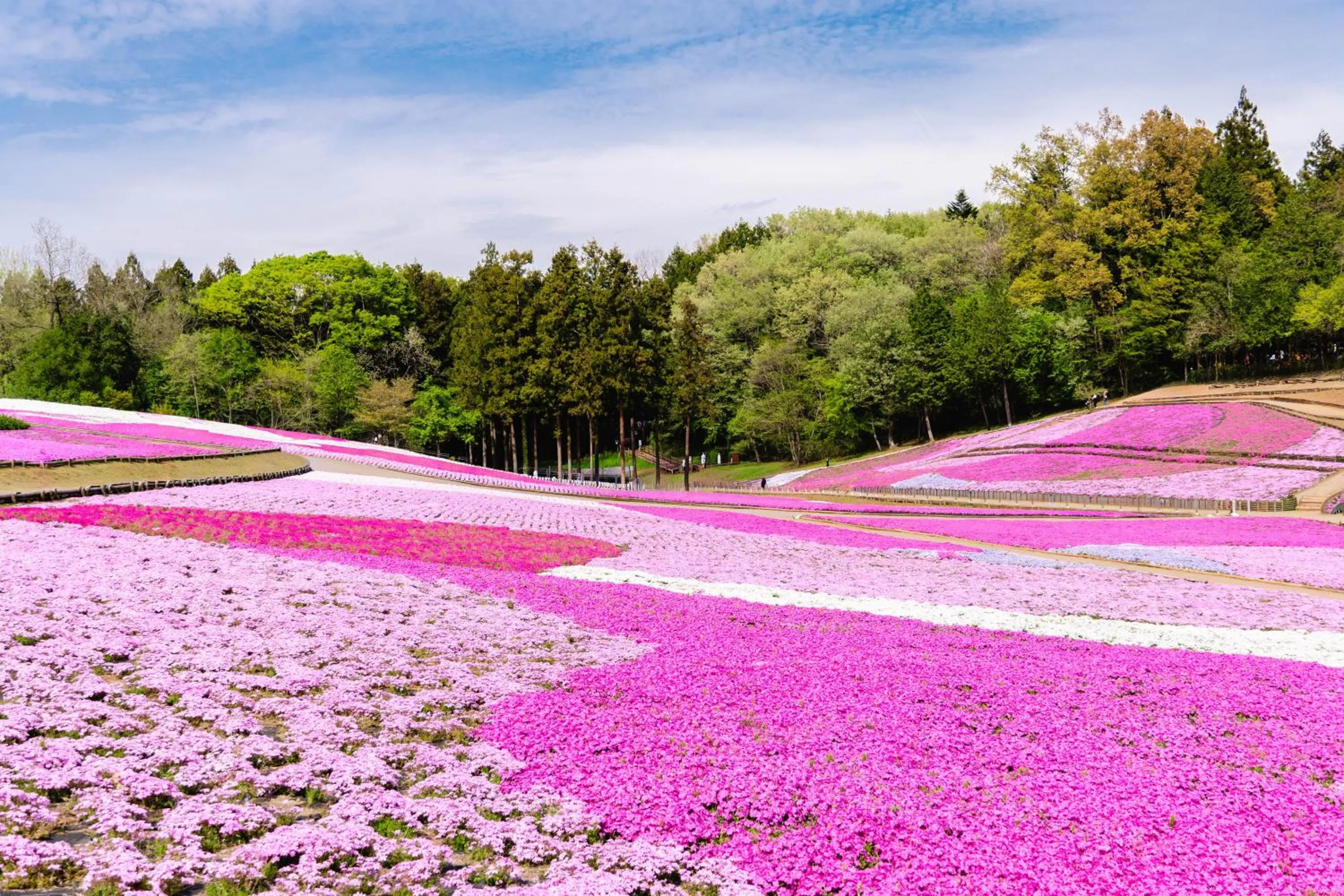 Nearby landmark in KAMENOI HOTEL Nagatoro Yorii