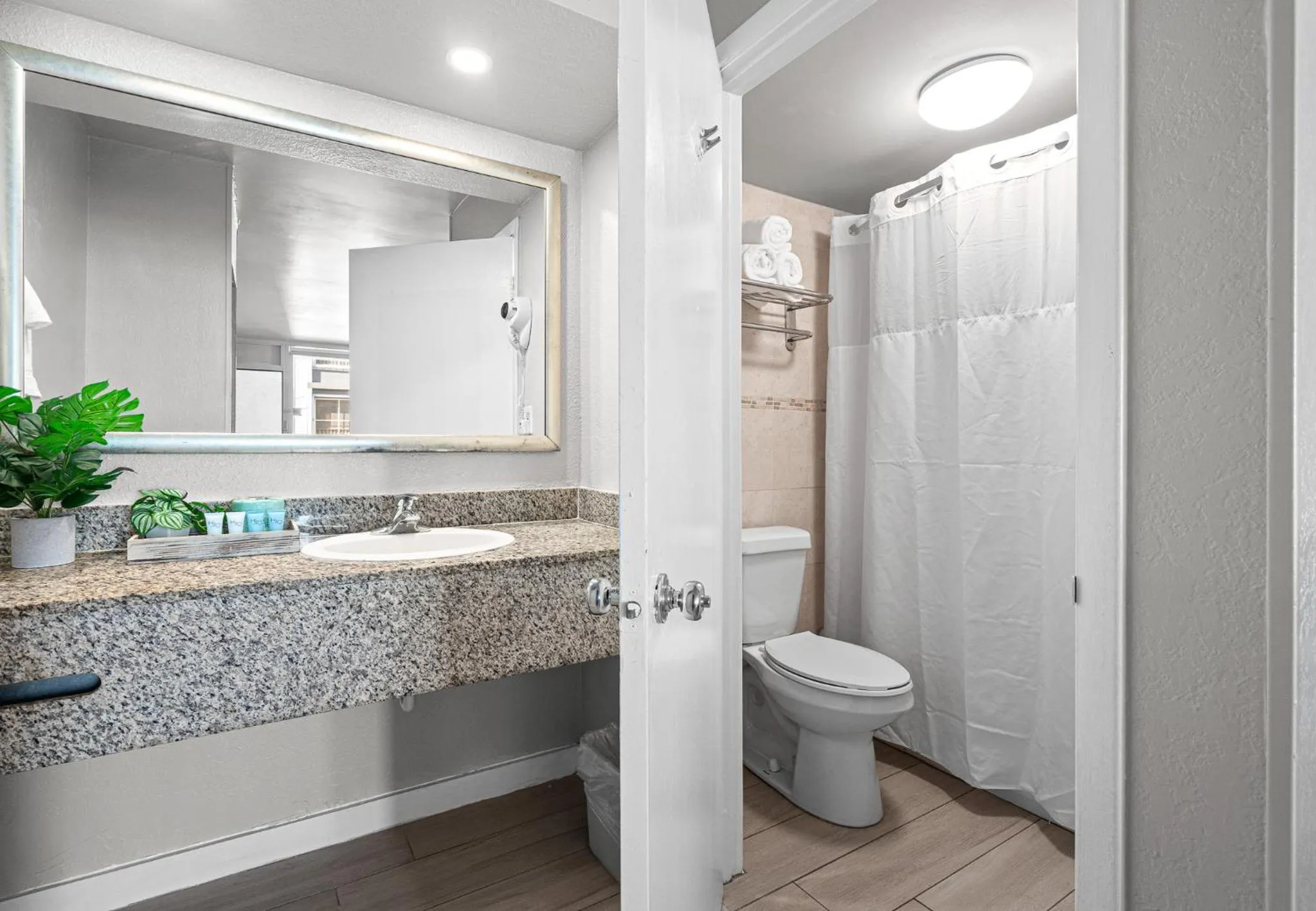 Toilet in Hotolos Hollywood