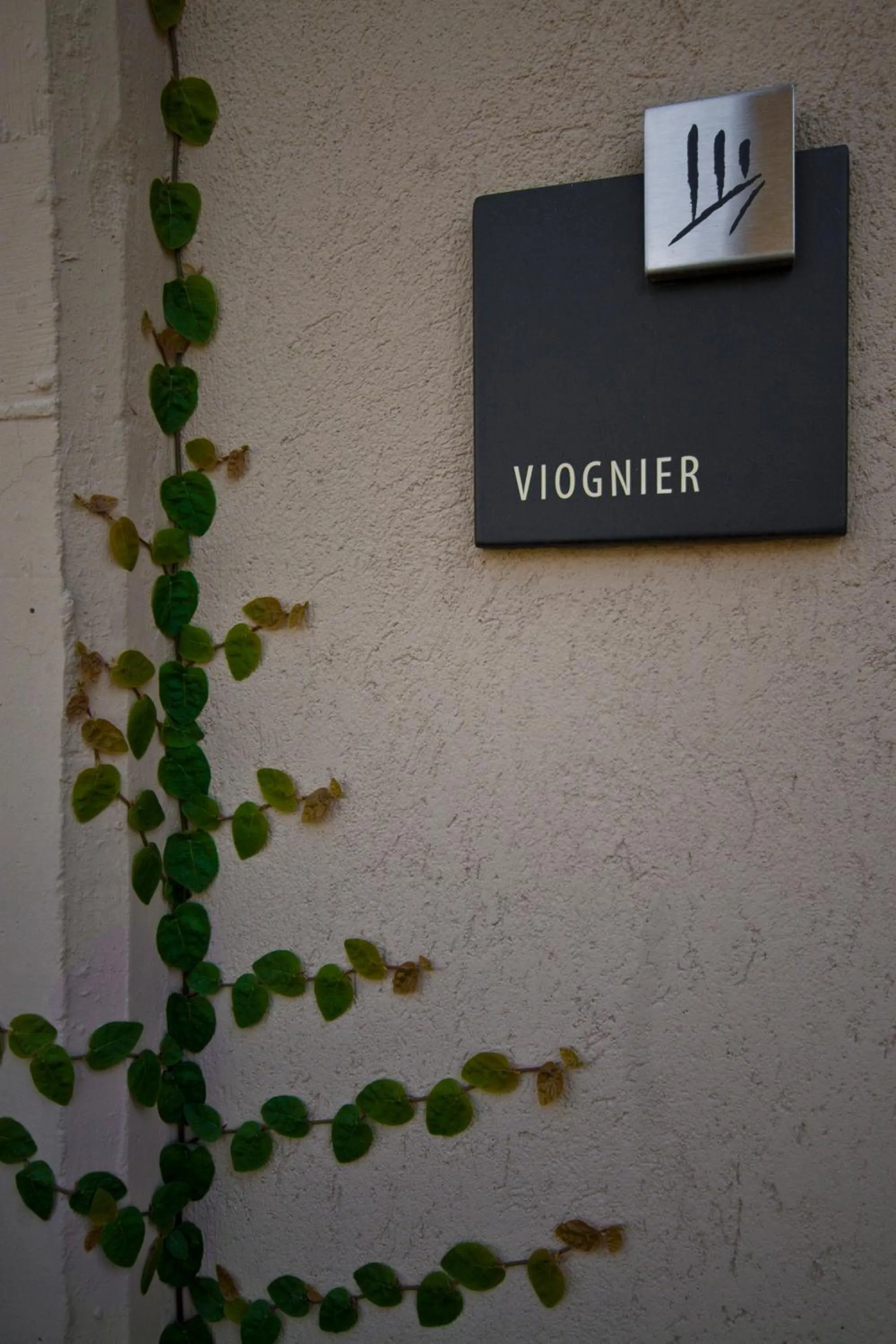 Other in Posada Salentein