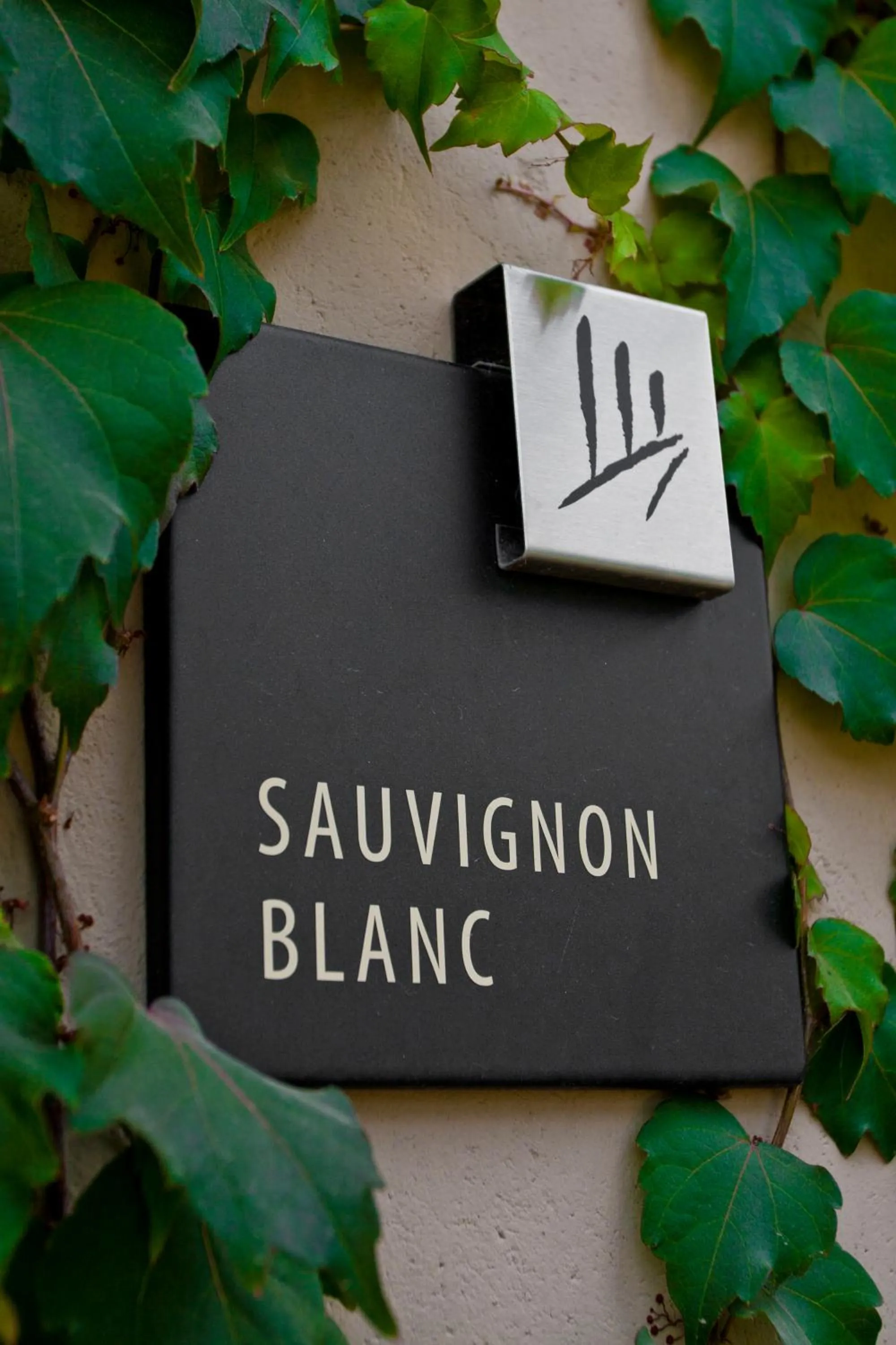 Other in Posada Salentein