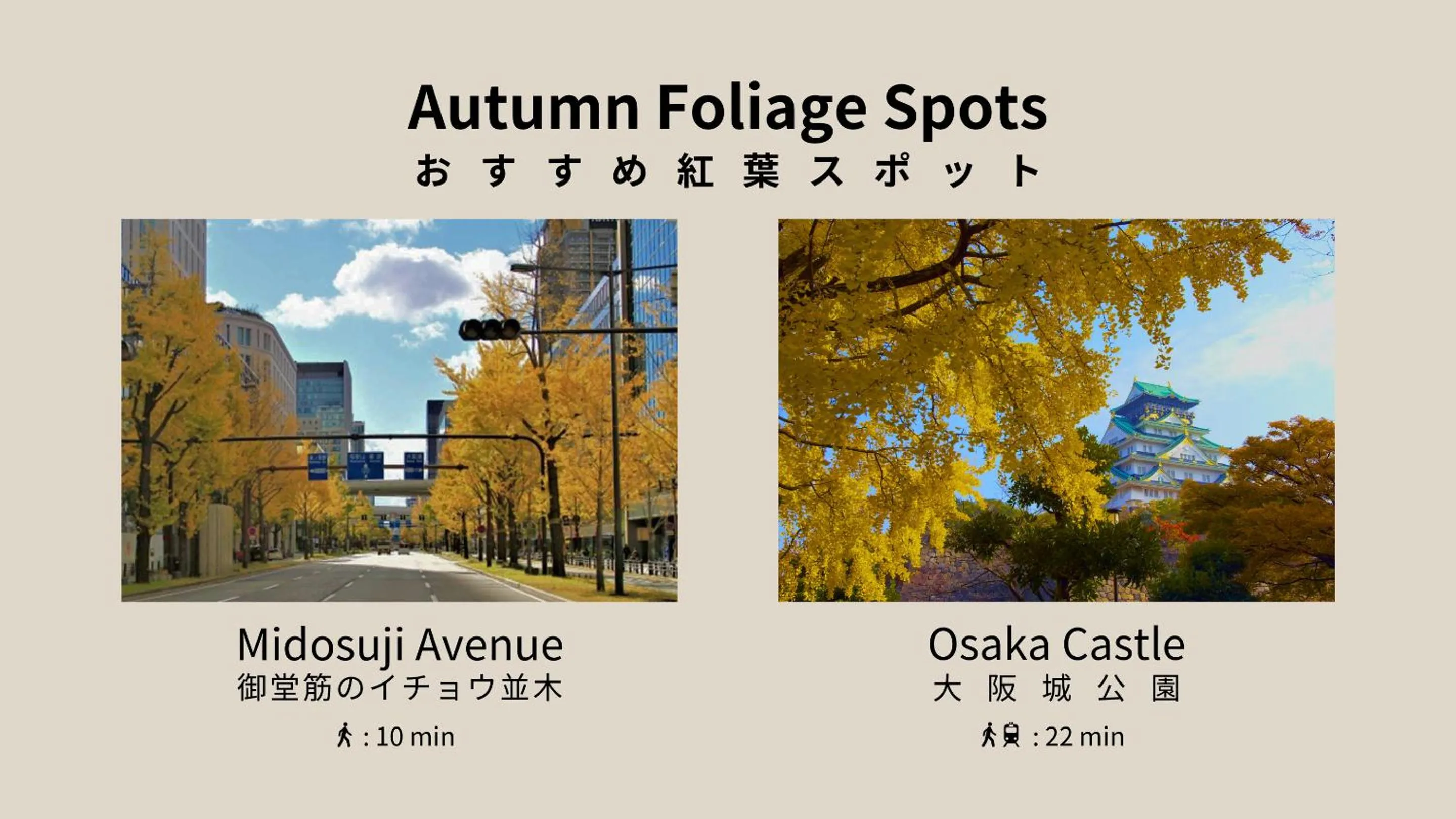 Nearby landmark in BON Condo Namba Nipponbashi