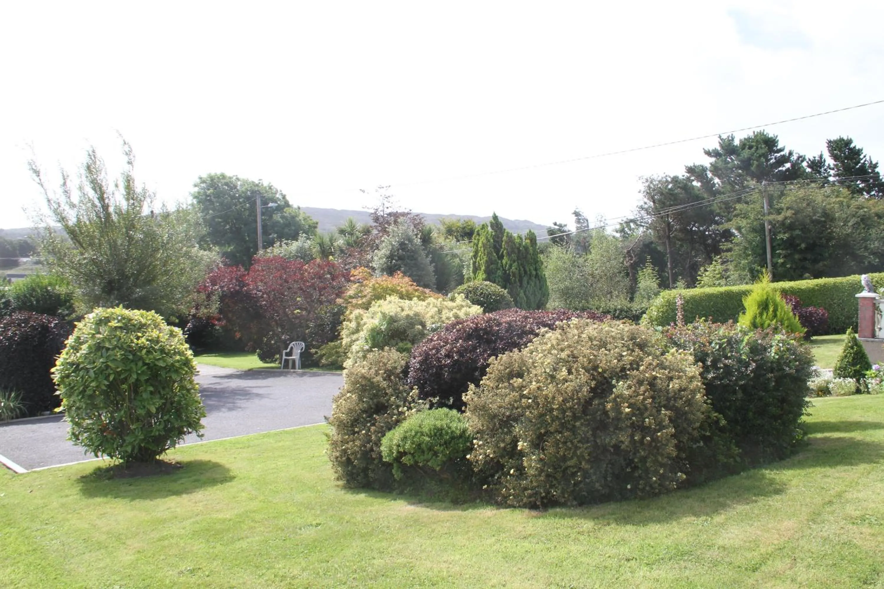 Garden in Marguerite's B&B
