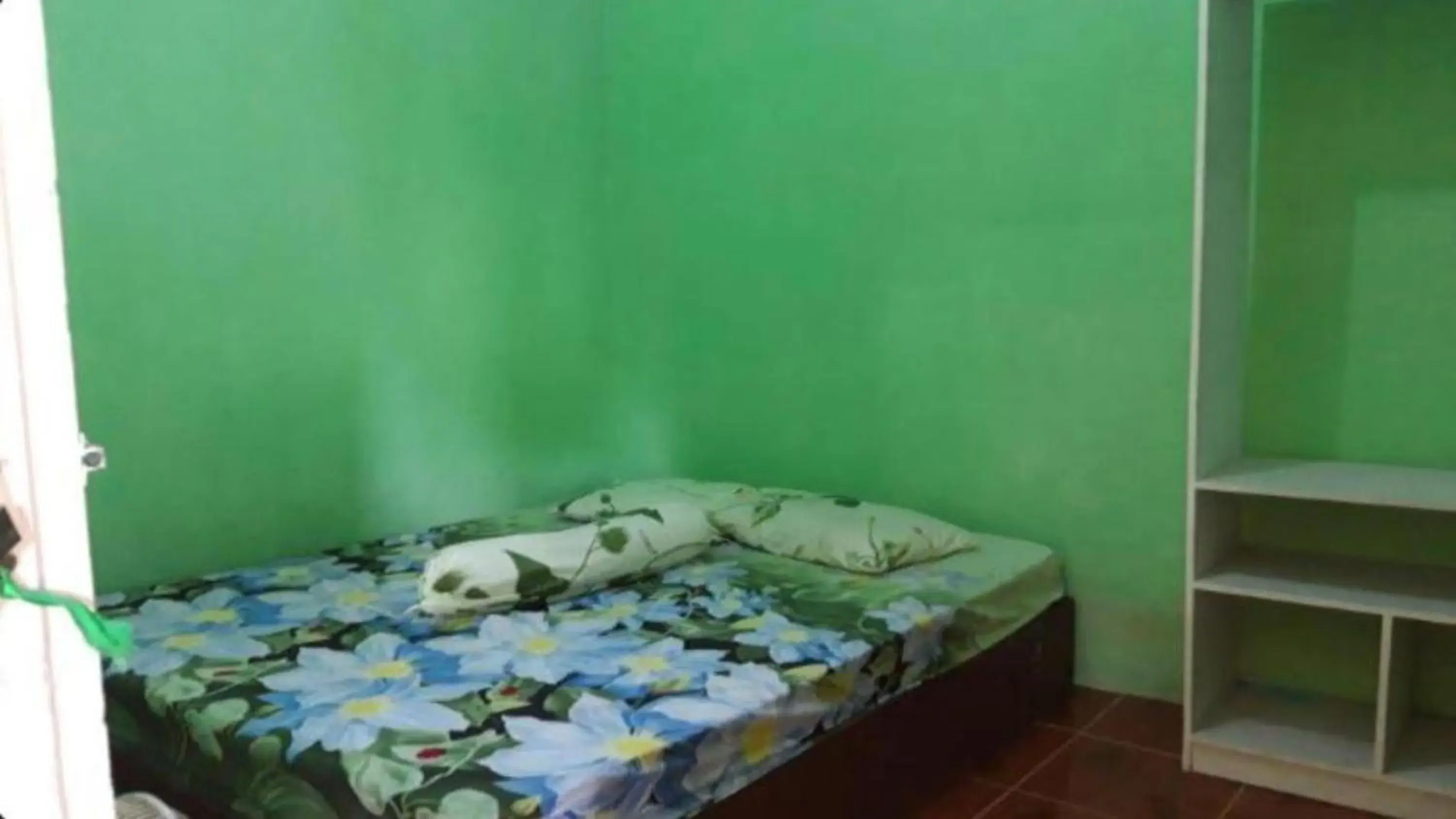 Standard Double Room in Toto Homestay Standard Double Room in Toto Homestay