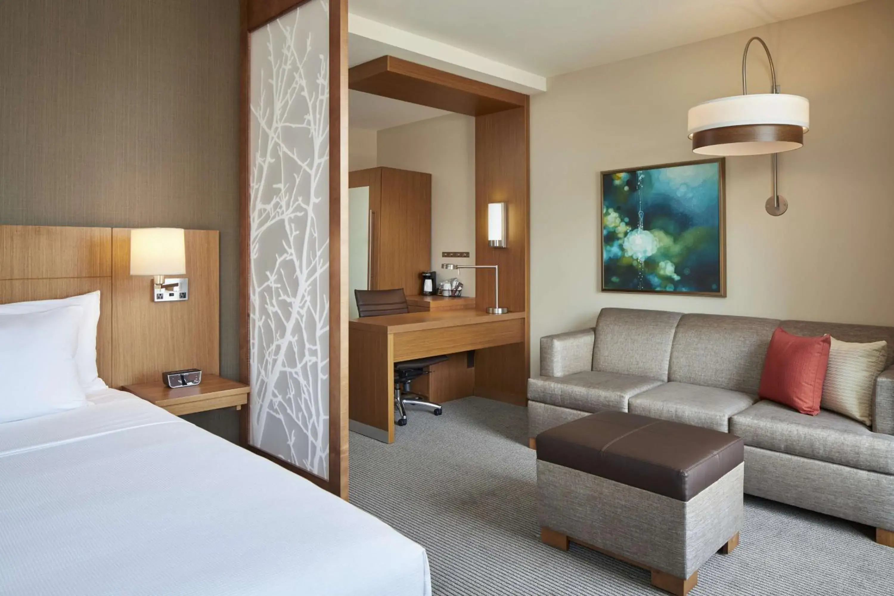 King Suite with Sofa Bed and Roll-In Shower - Disability Access in Hyatt Place Evansville King Suite with Sofa Bed and Roll-In Shower - Disability Access in Hyatt Place Evansville
