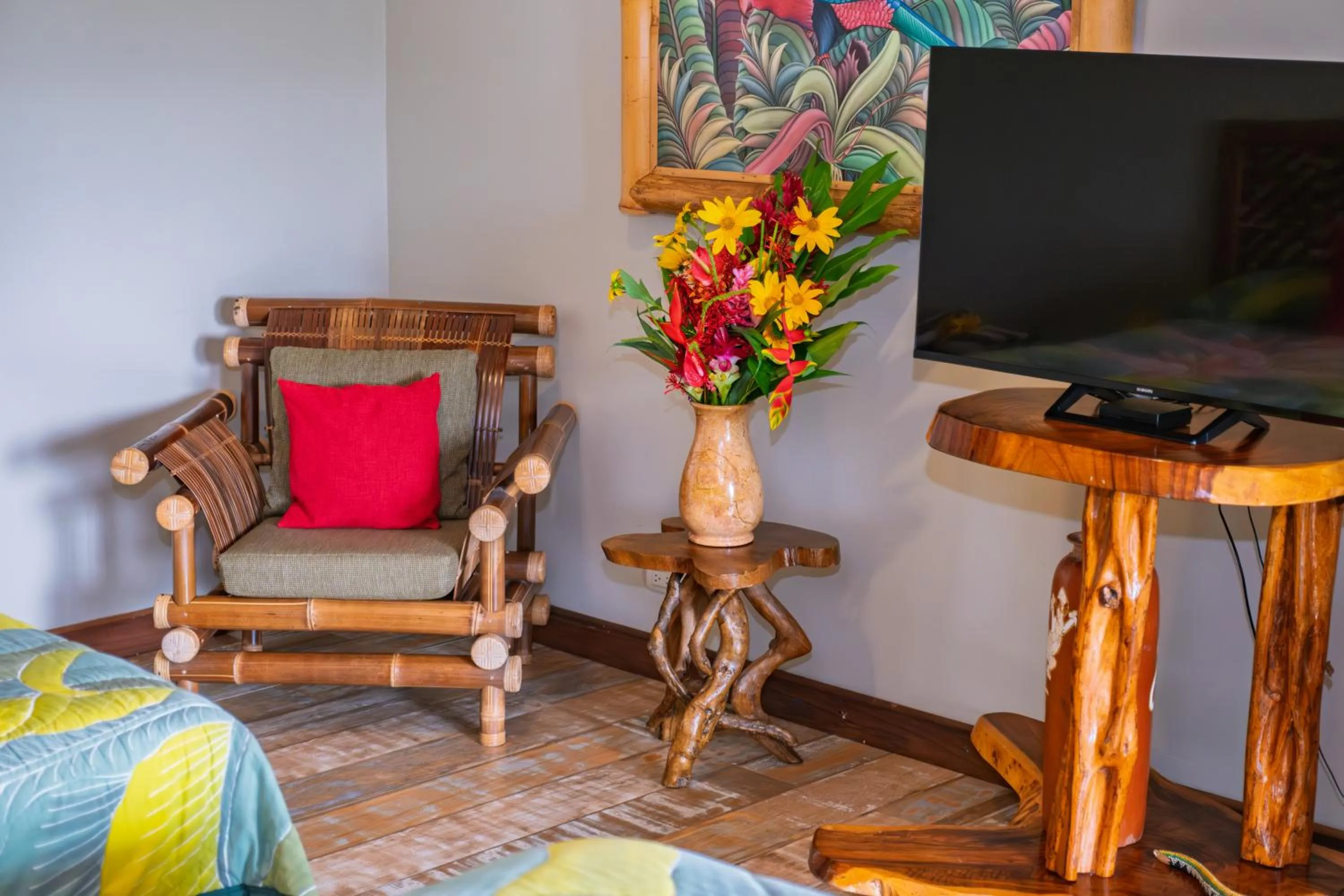 TV and multimedia in Lost Iguana Resort and Spa