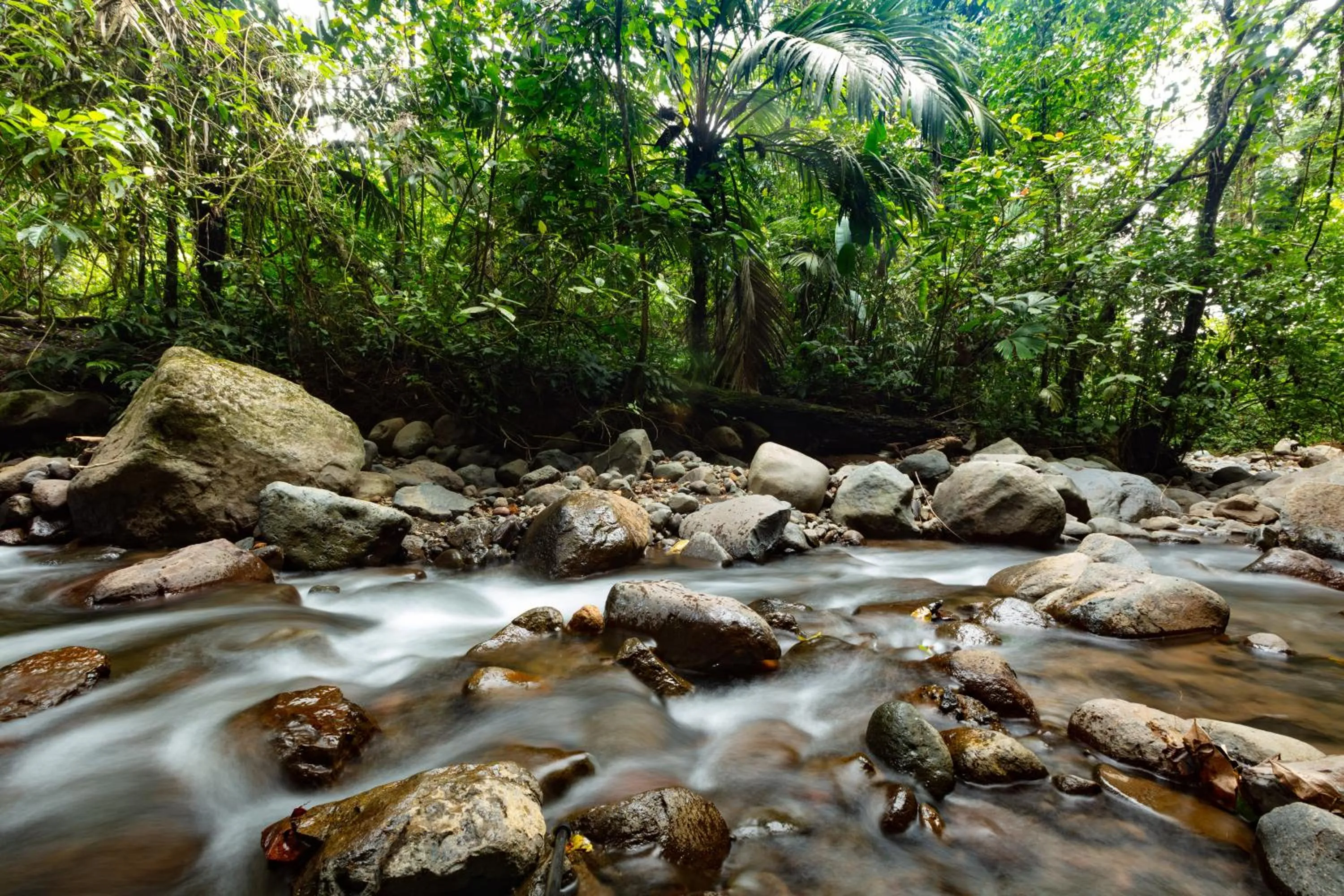 Natural landscape in Lost Iguana Resort and Spa