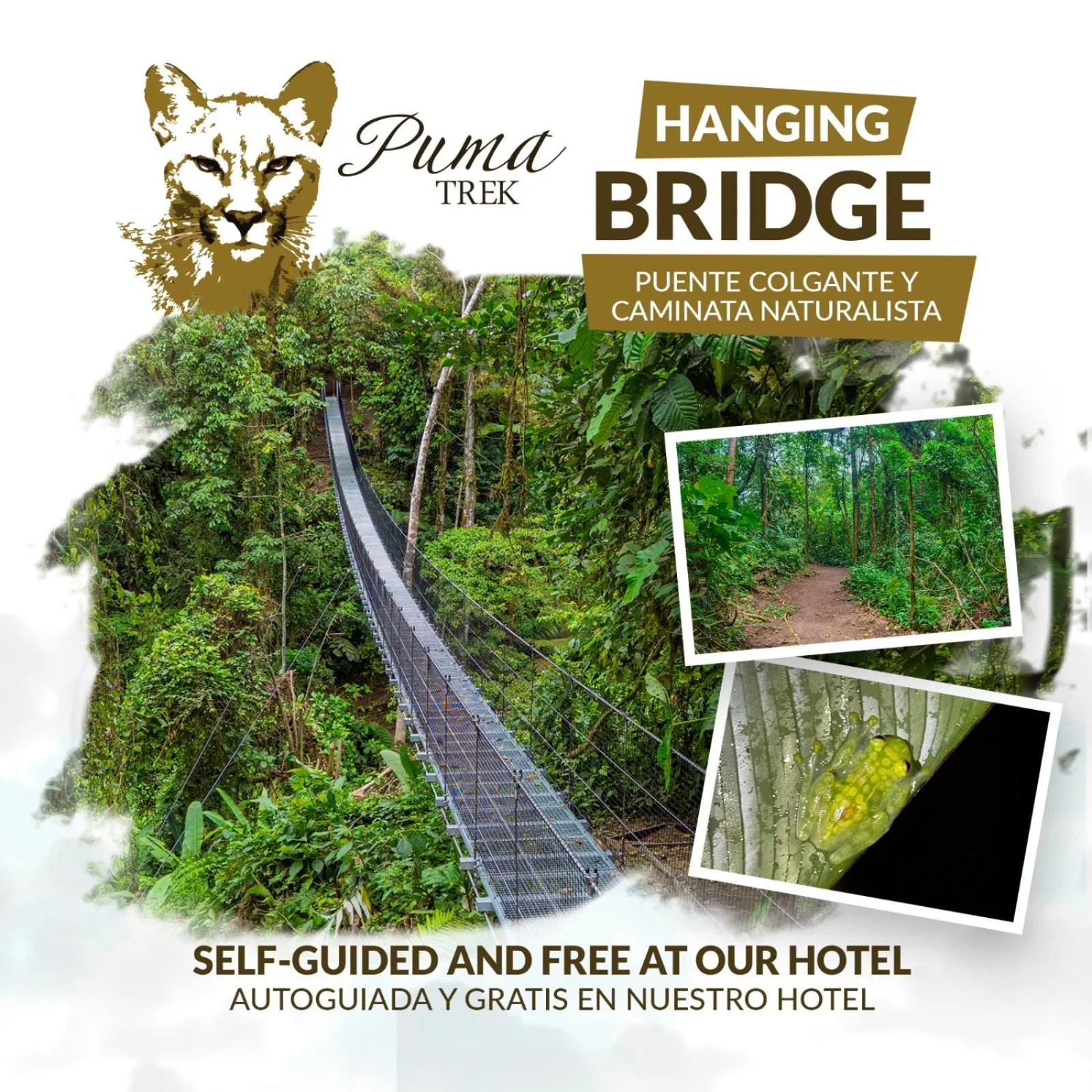 Activities in Lost Iguana Resort and Spa