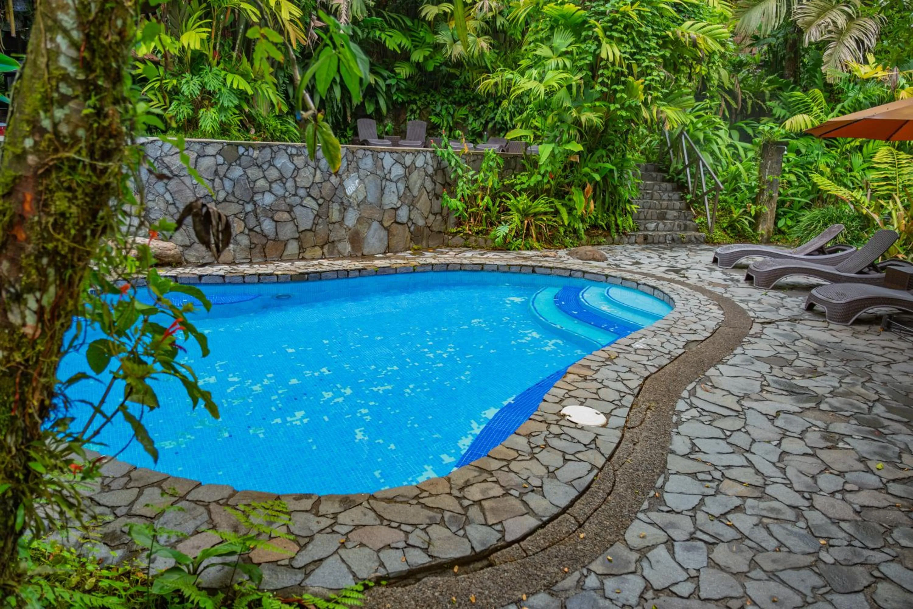 Swimming pool in Lost Iguana Resort and Spa