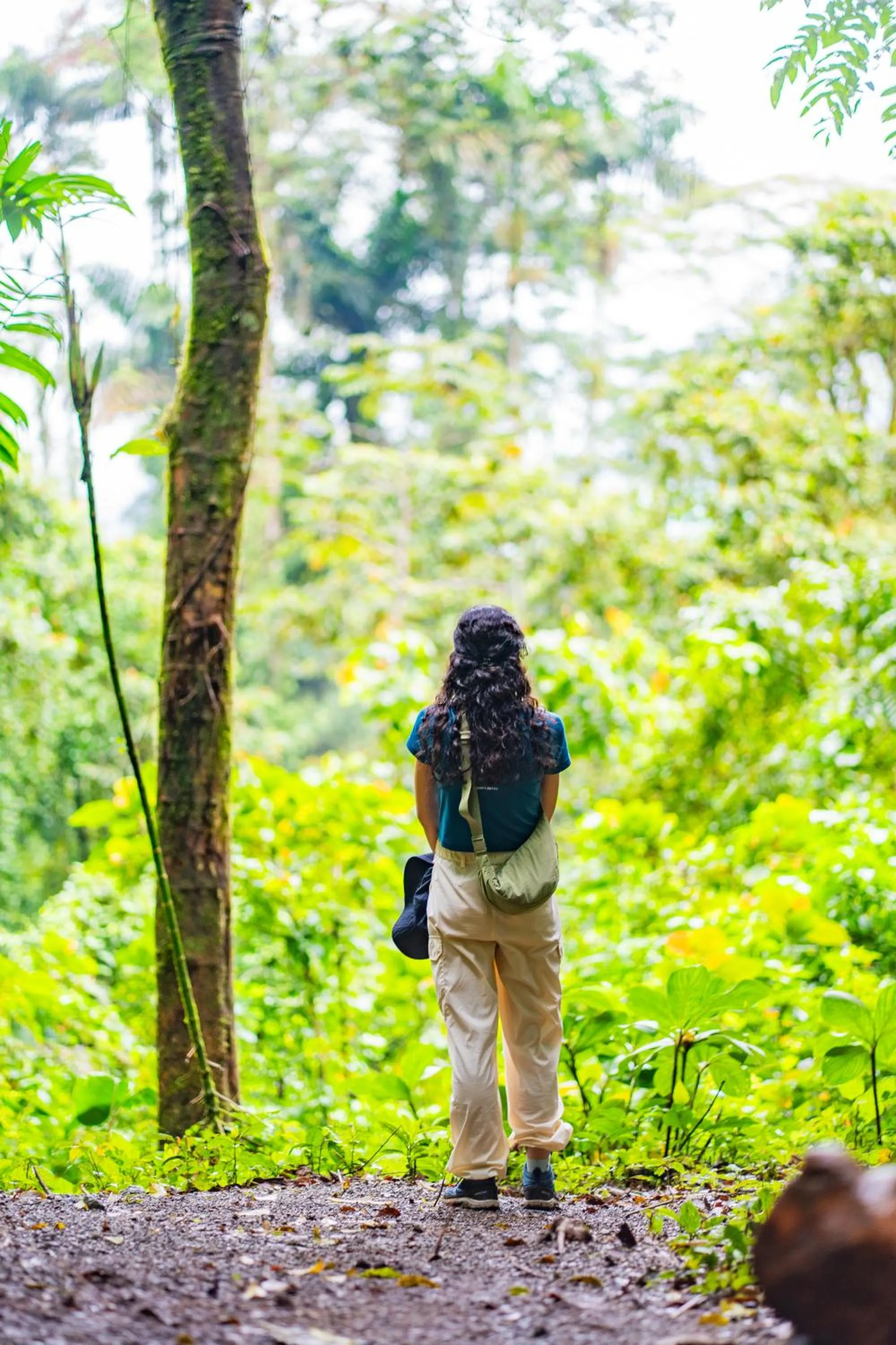 View (from property/room) in Lost Iguana Resort and Spa