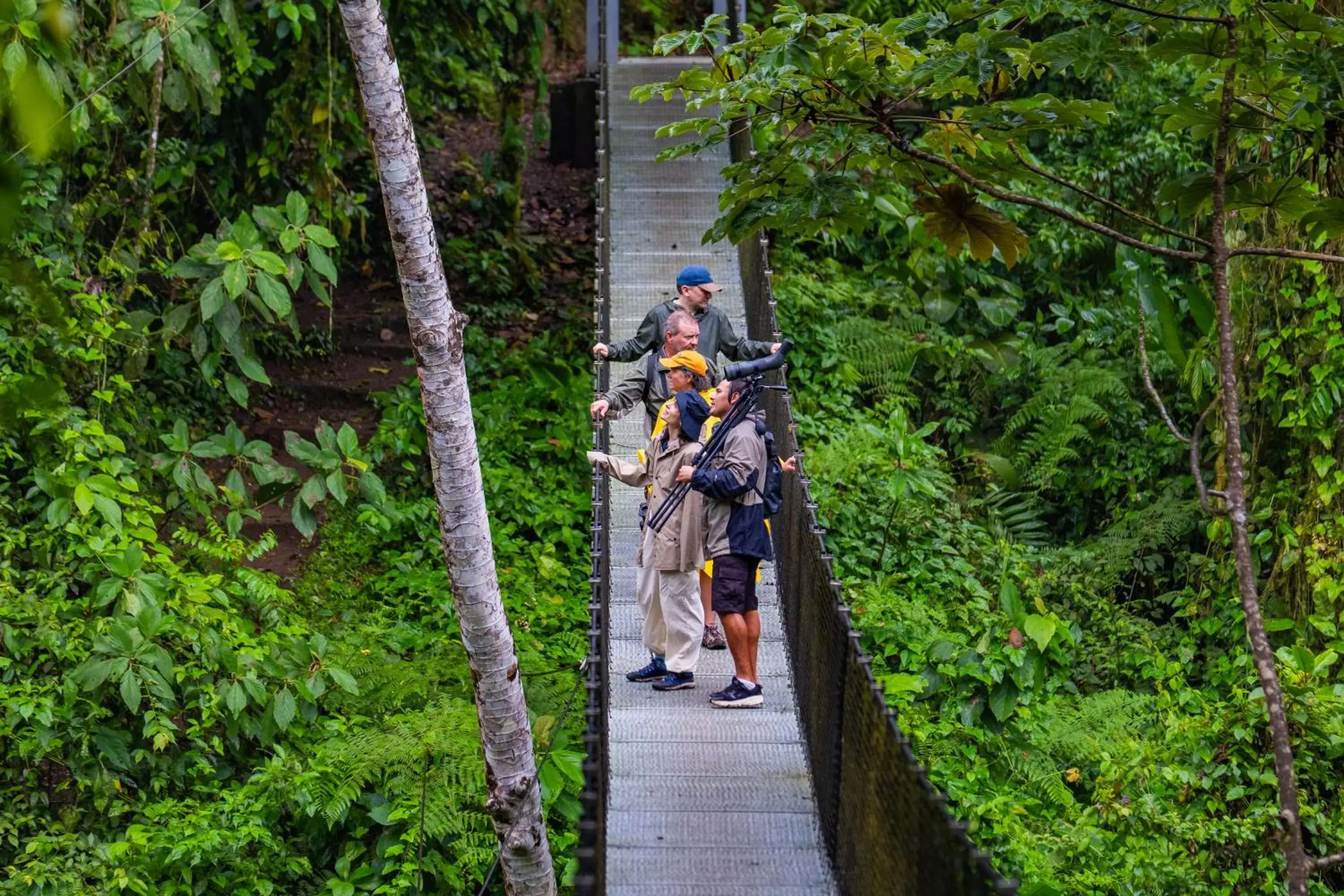 Lost Iguana Resort and Spa Lost Iguana Resort and Spa