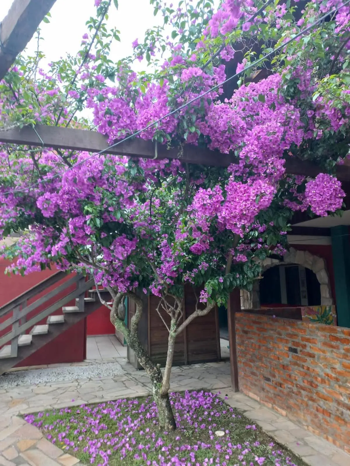 Spring in Pousada Vila D' Itália