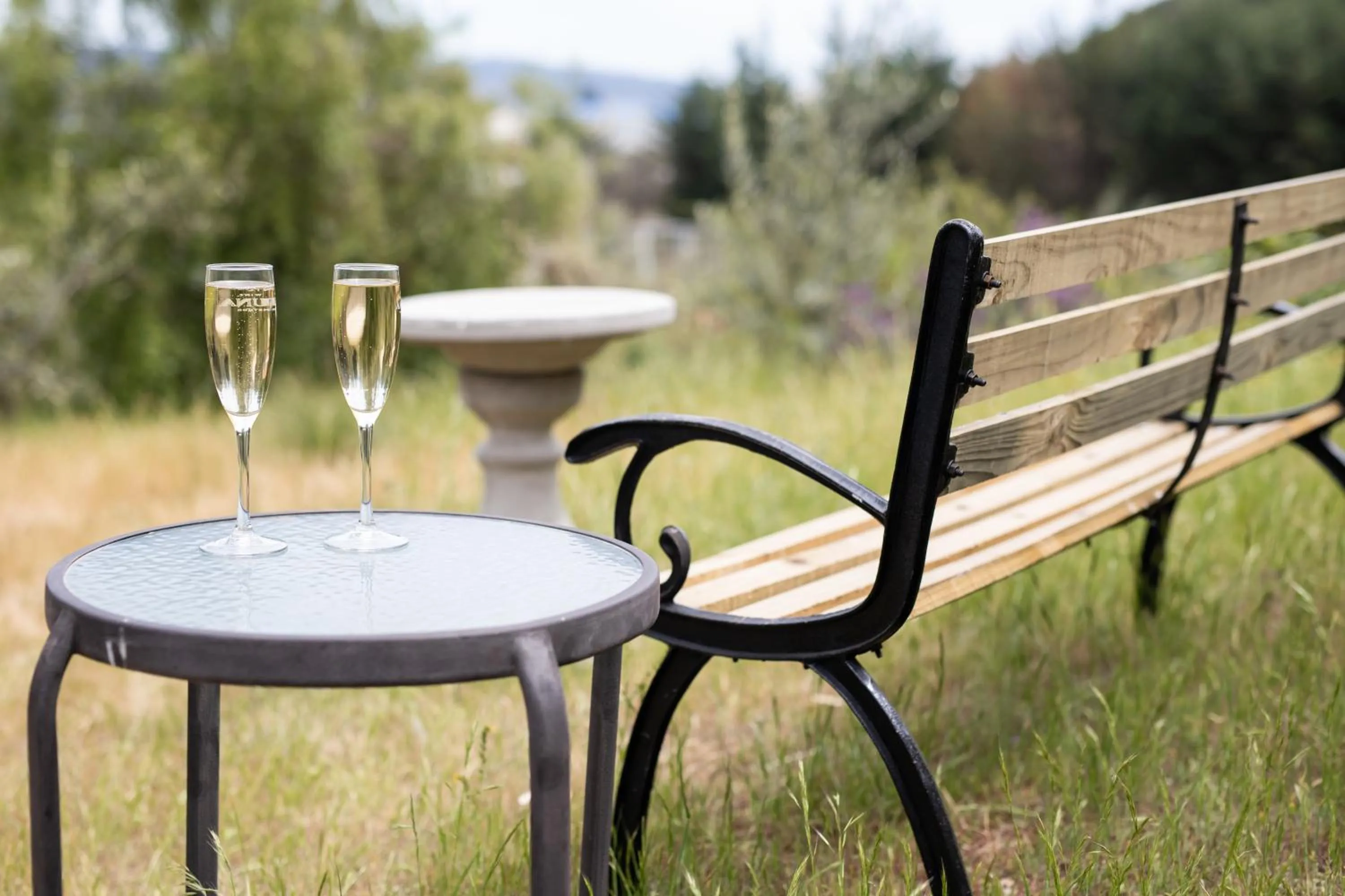 Garden in Hotel Casablanca Spa & Wine