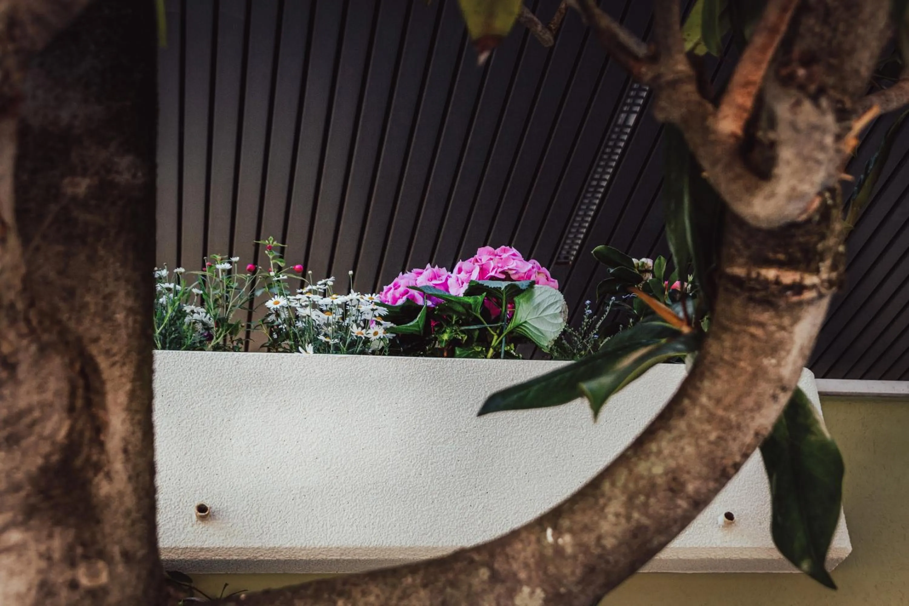 Property building in Hotel Boston