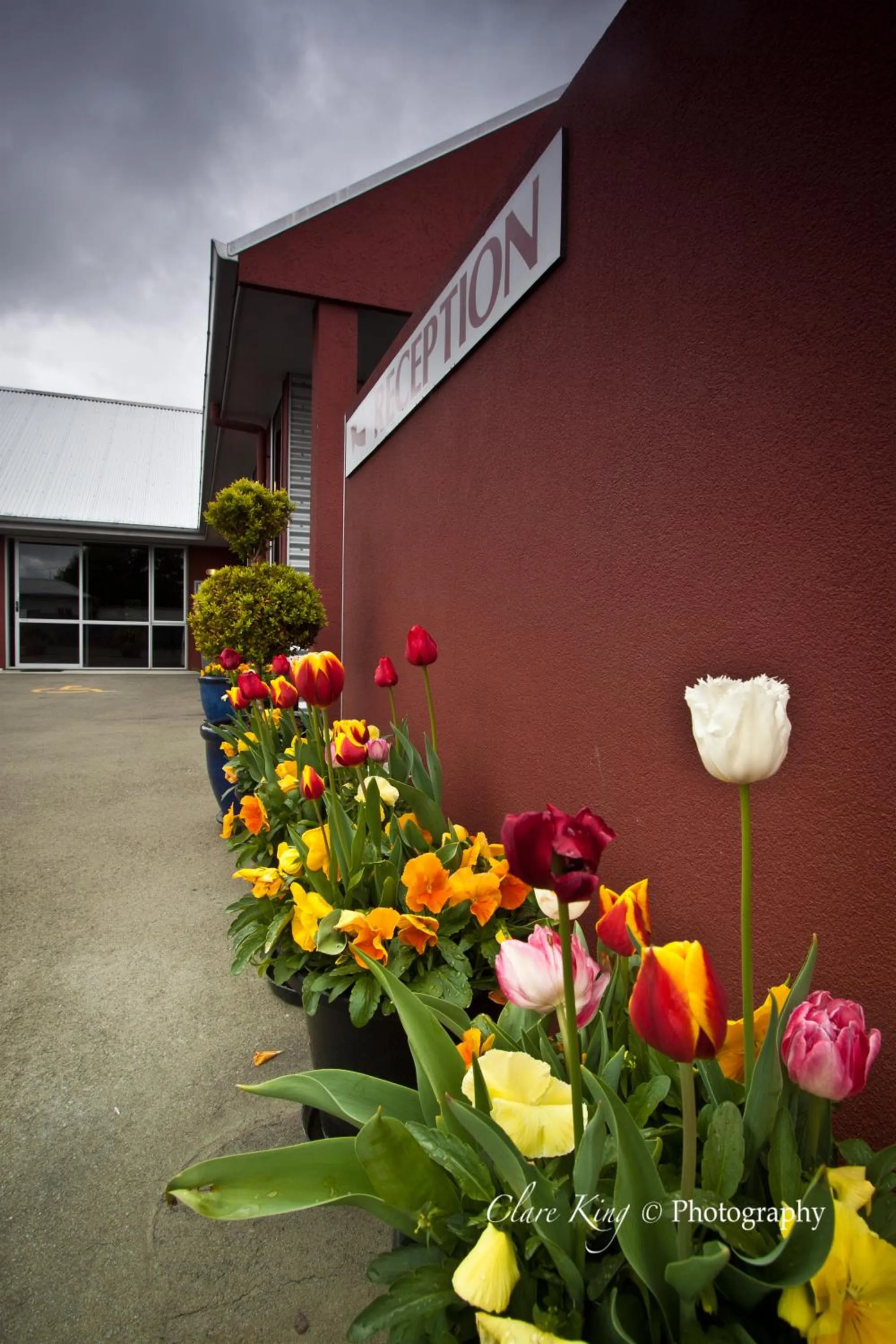 Lobby or reception in Phoenix Motels
