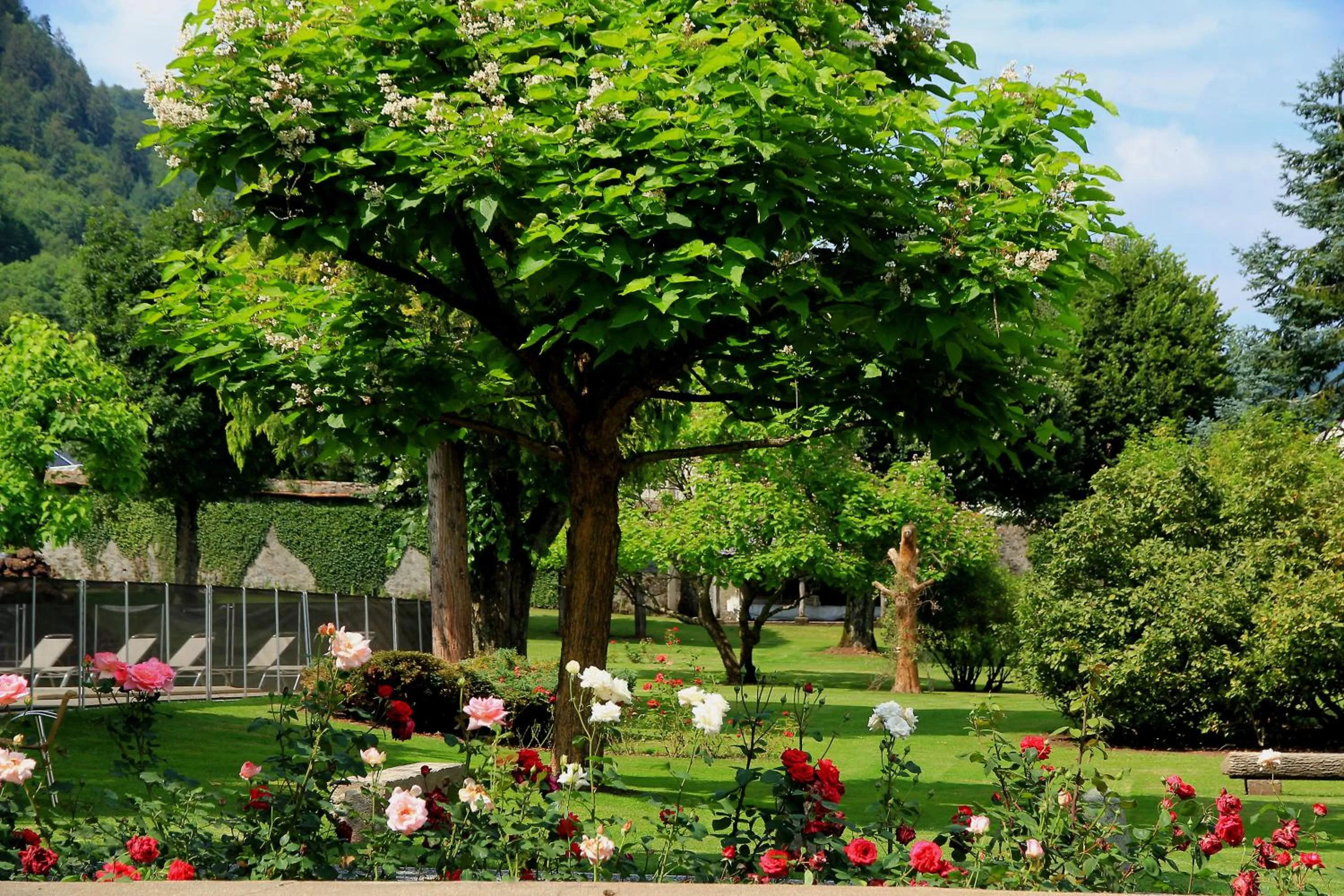 Garden in Hotel Beauséjour