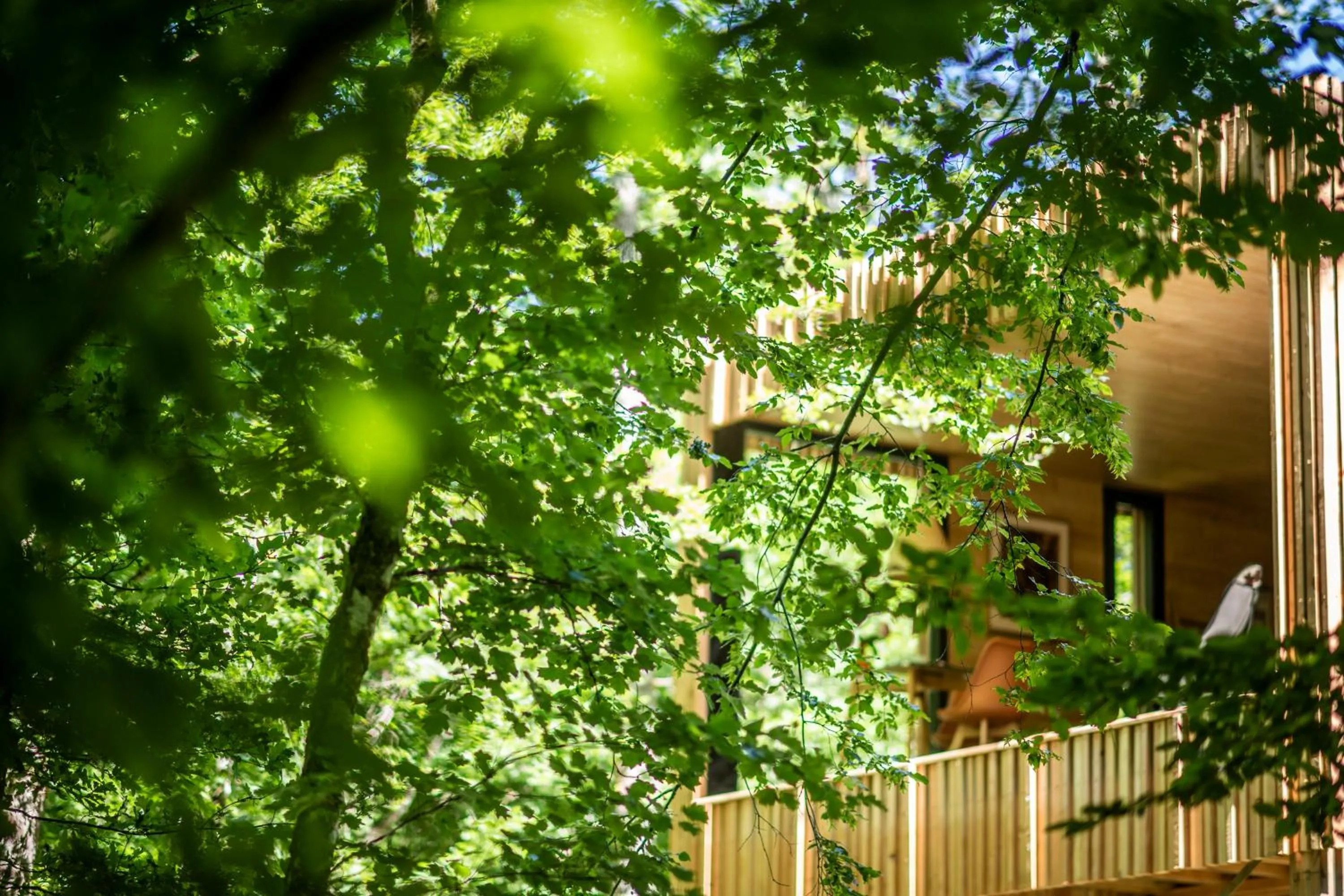 Loire Valley Lodges - Hotel