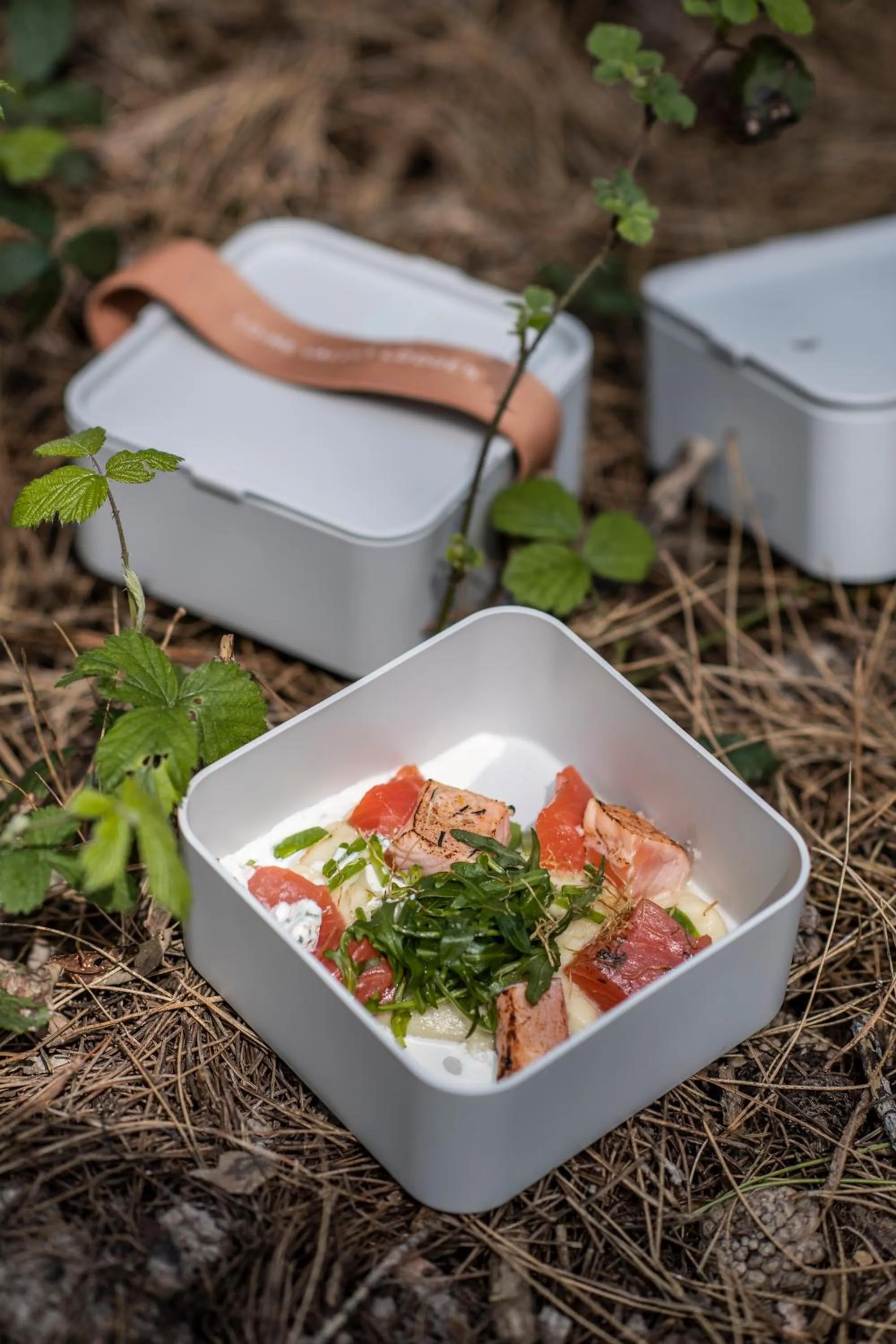 Loire Valley Lodges - Hotel