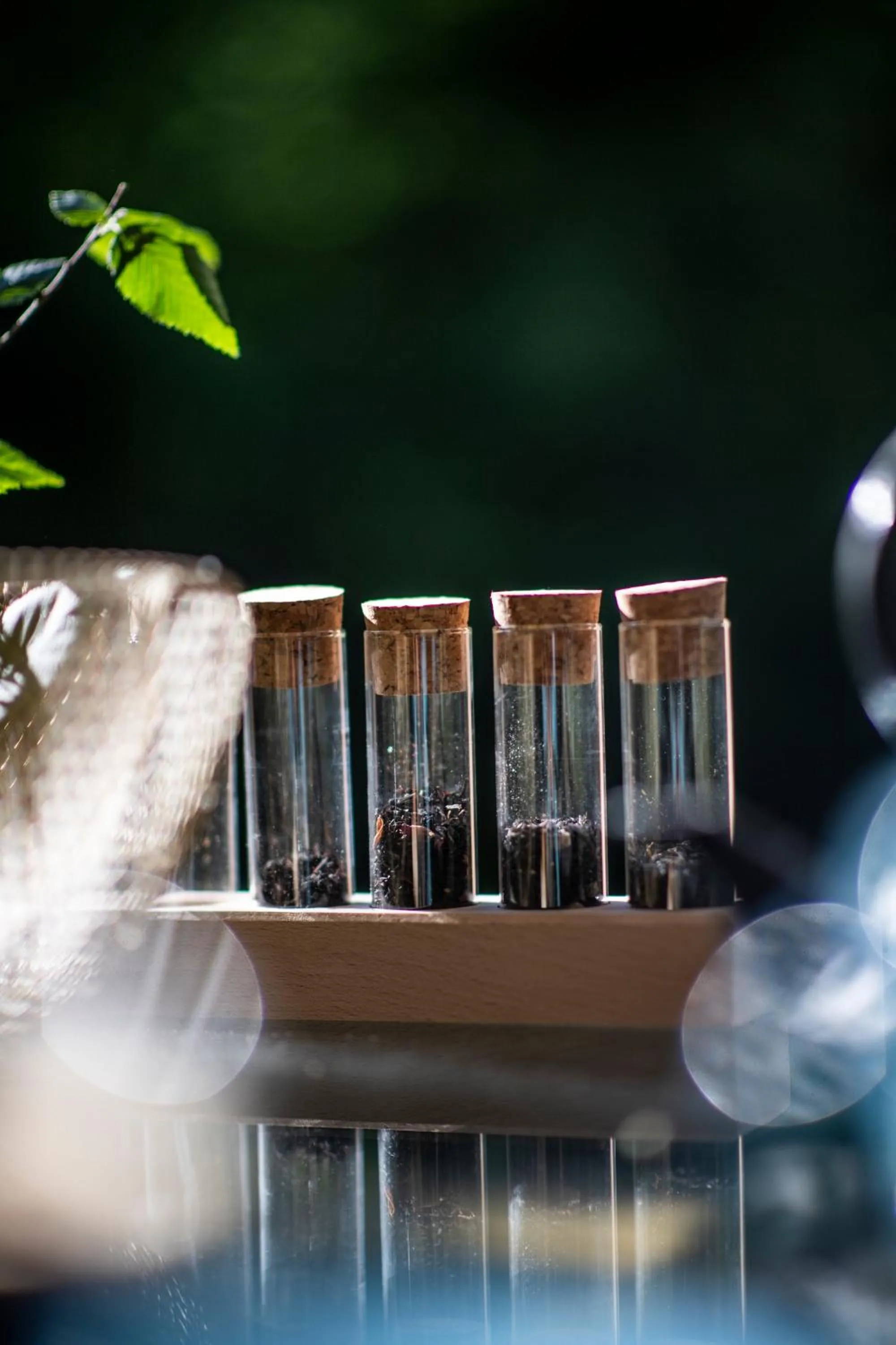 Loire Valley Lodges - Hotel