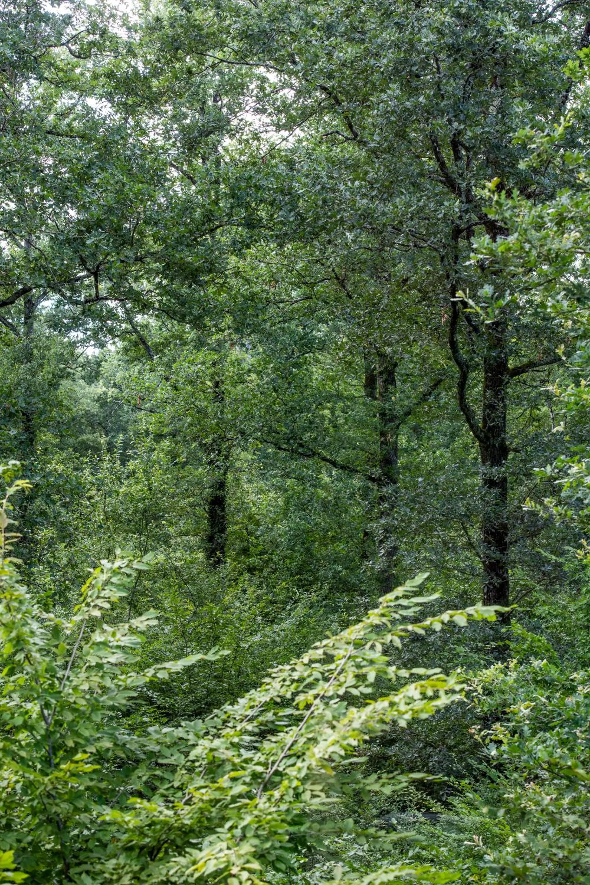 Loire Valley Lodges - Hotel