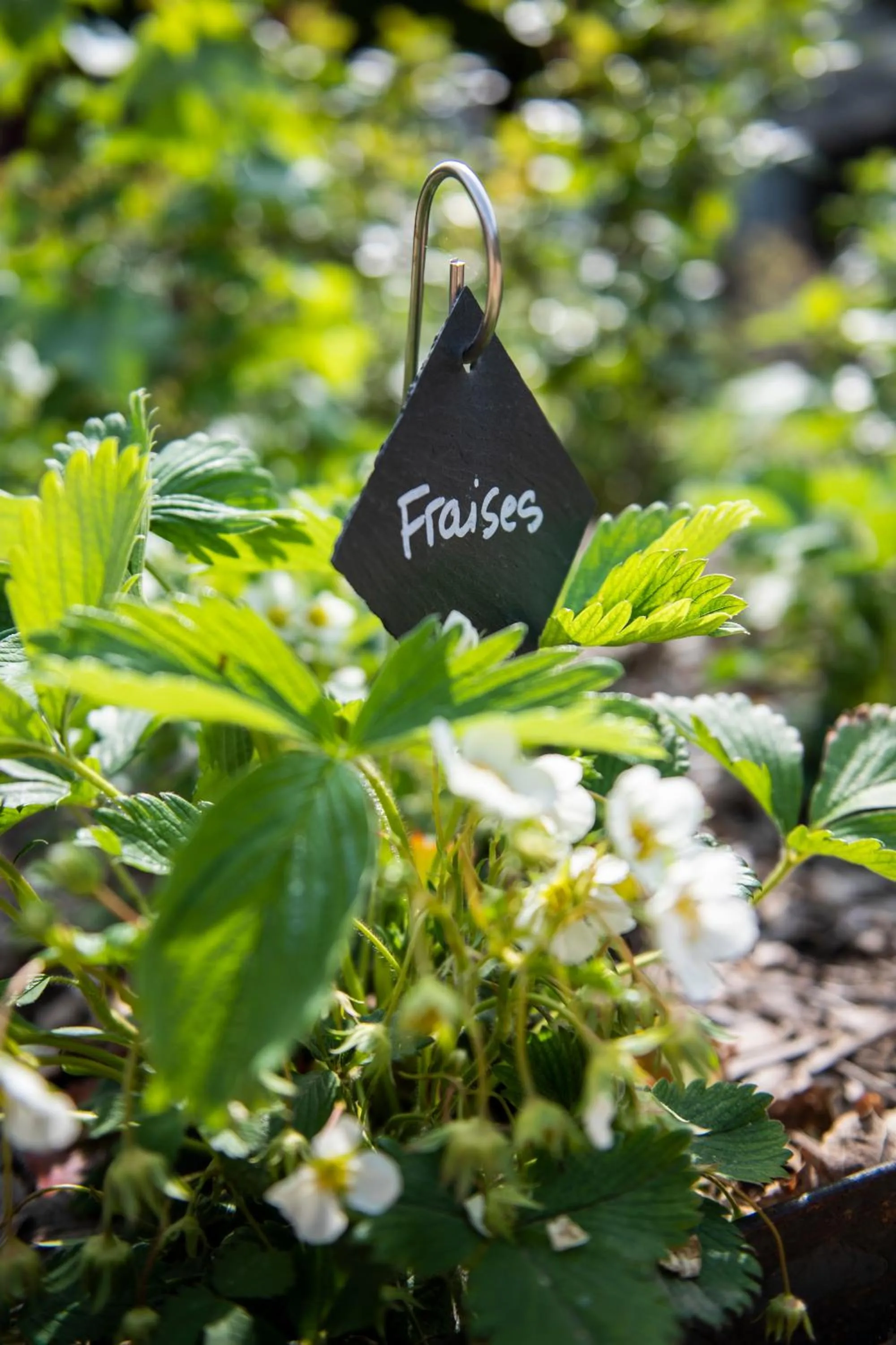 Garden in Loire Valley Lodges - Hotel