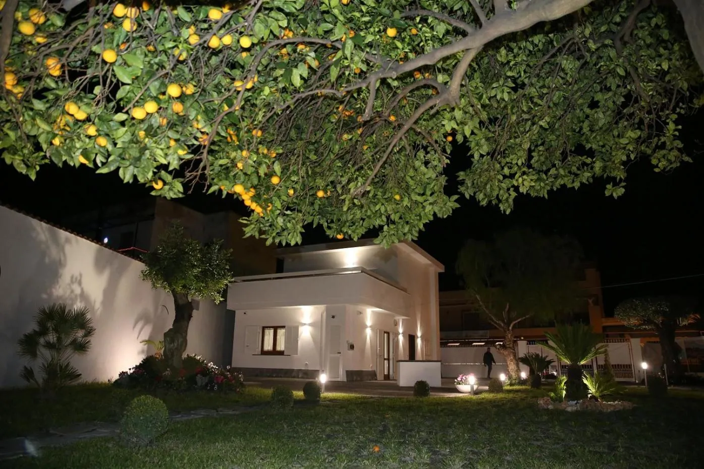Property building in Home Olympus Vesuvio