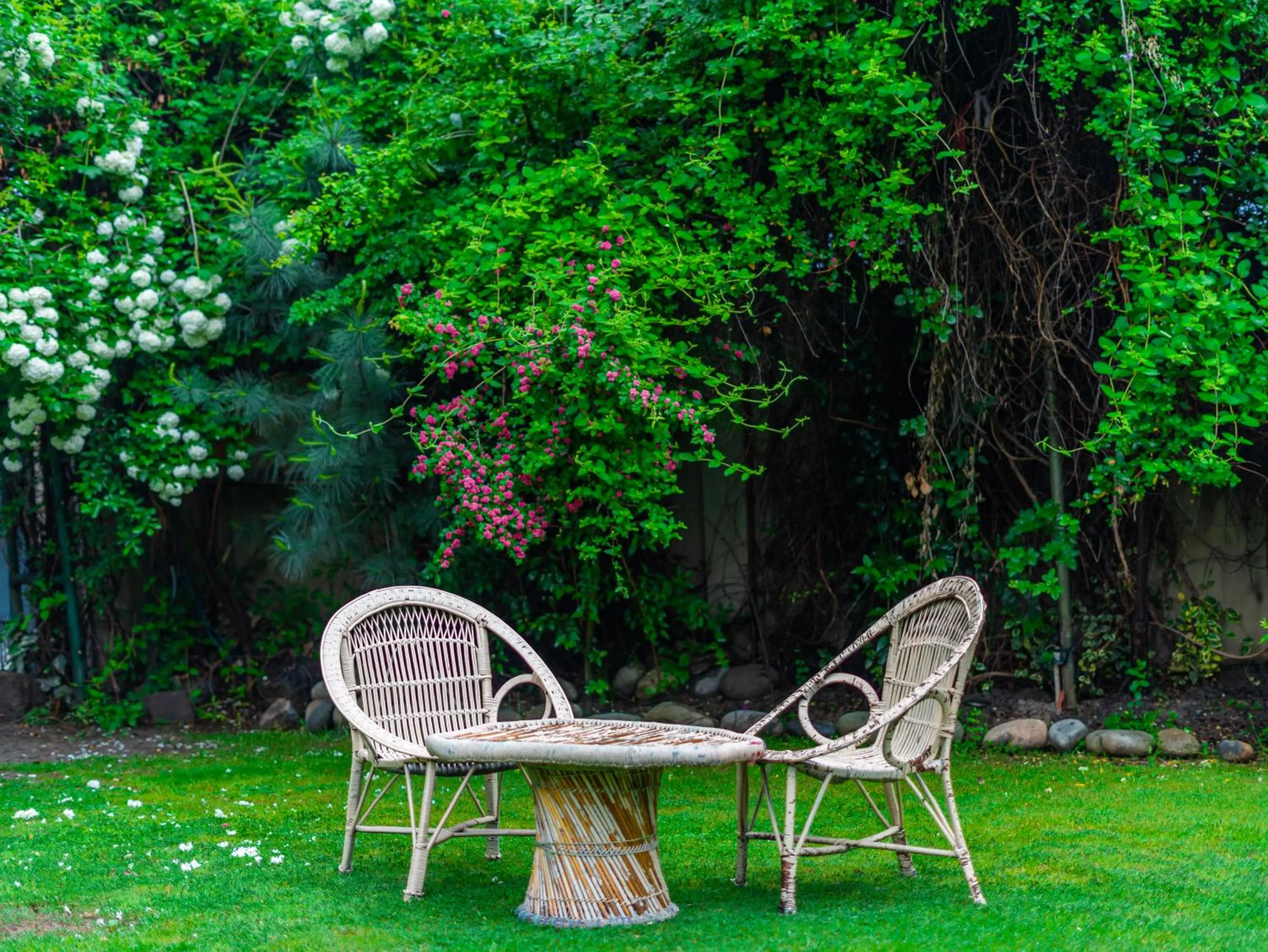 Facade/entrance in Hotel Mirage
