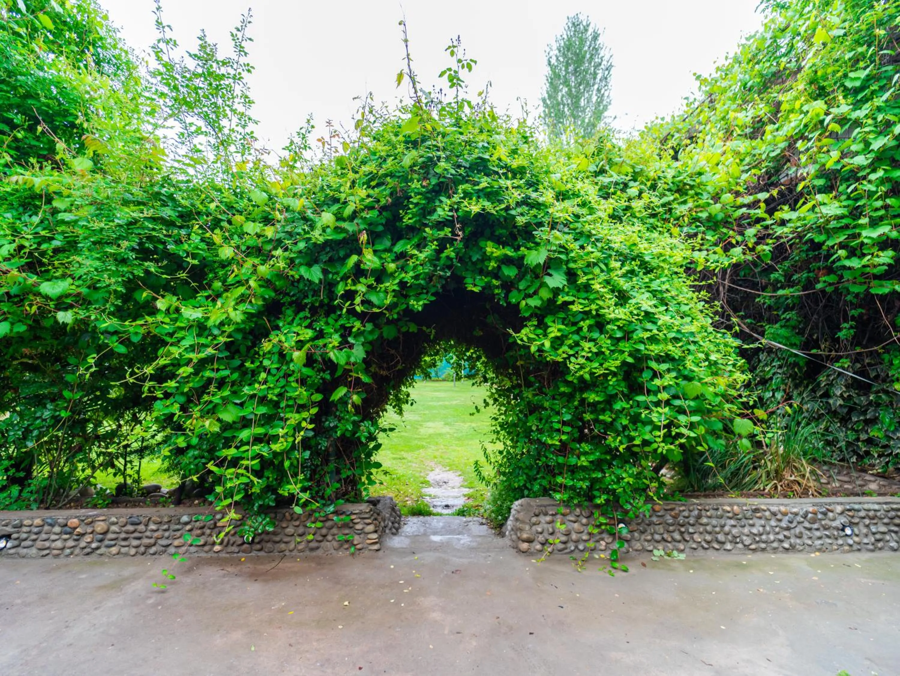 Facade/entrance in Hotel Mirage