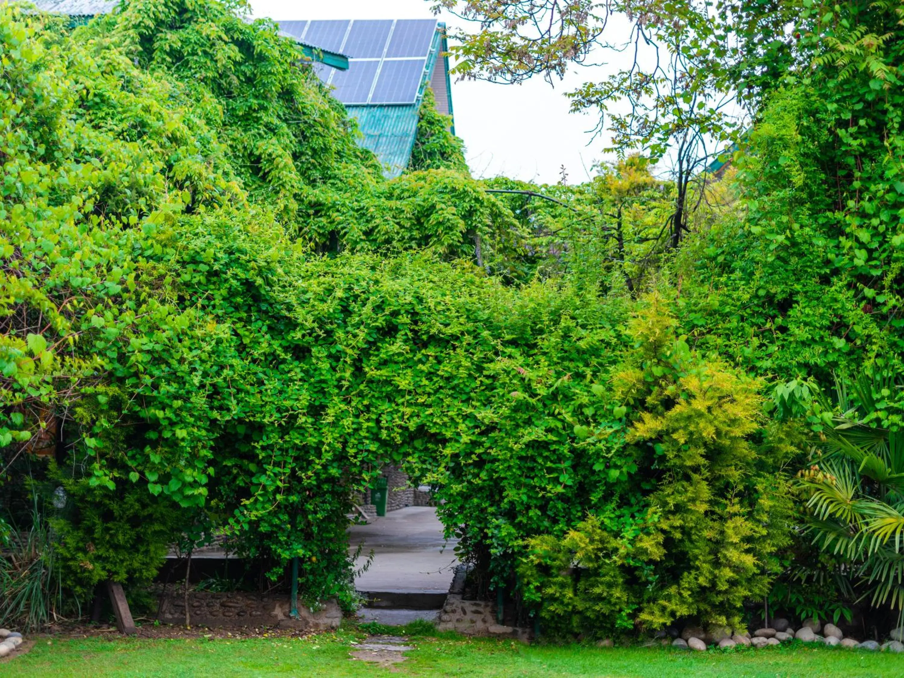 Facade/entrance in Hotel Mirage Facade/entrance in Hotel Mirage