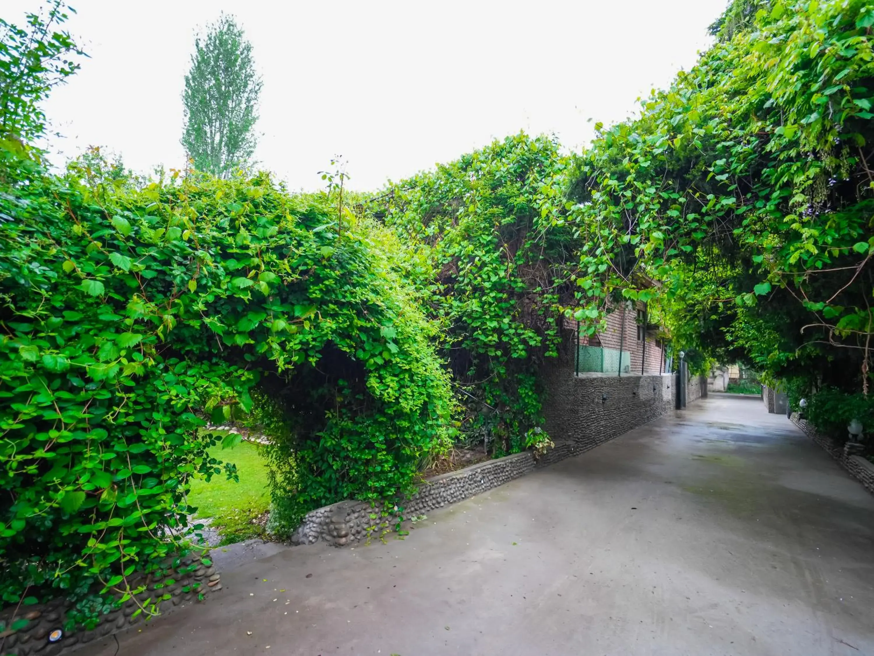 Facade/entrance in Hotel Mirage Facade/entrance in Hotel Mirage